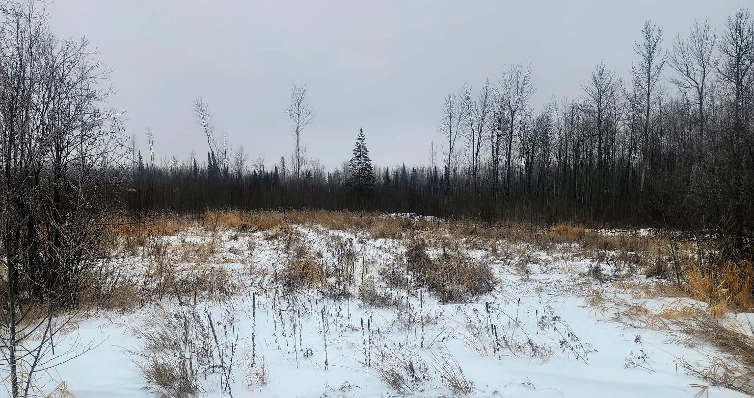 17 E County Road Property Photo 22