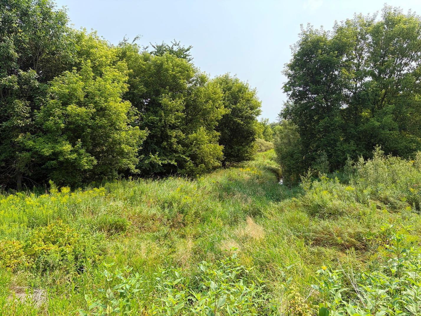 Tbd Lands Along 160th Ave & 315th St Property Photo 1