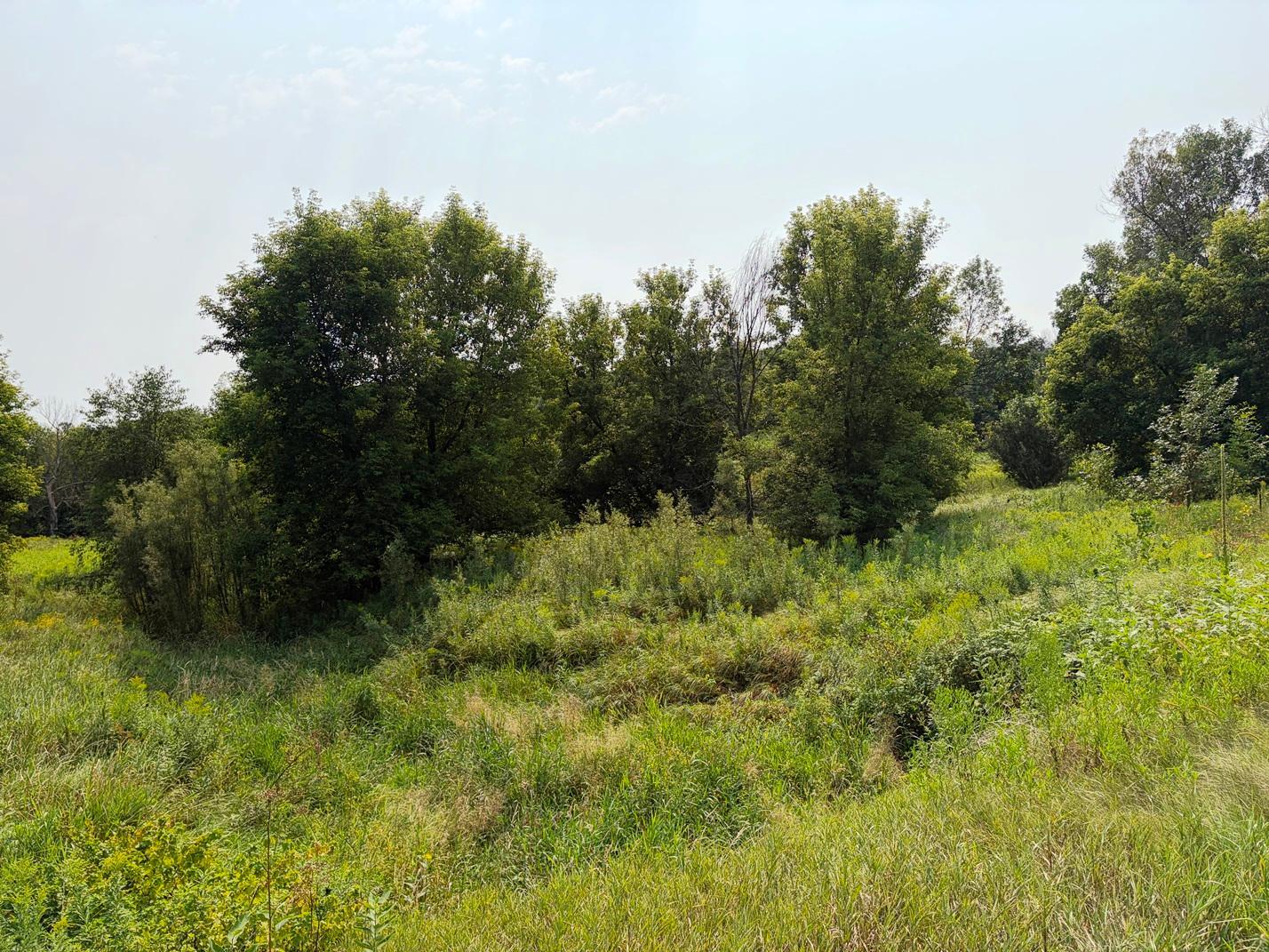 Tbd Lands Along 160th Ave & 315th St Property Photo 2
