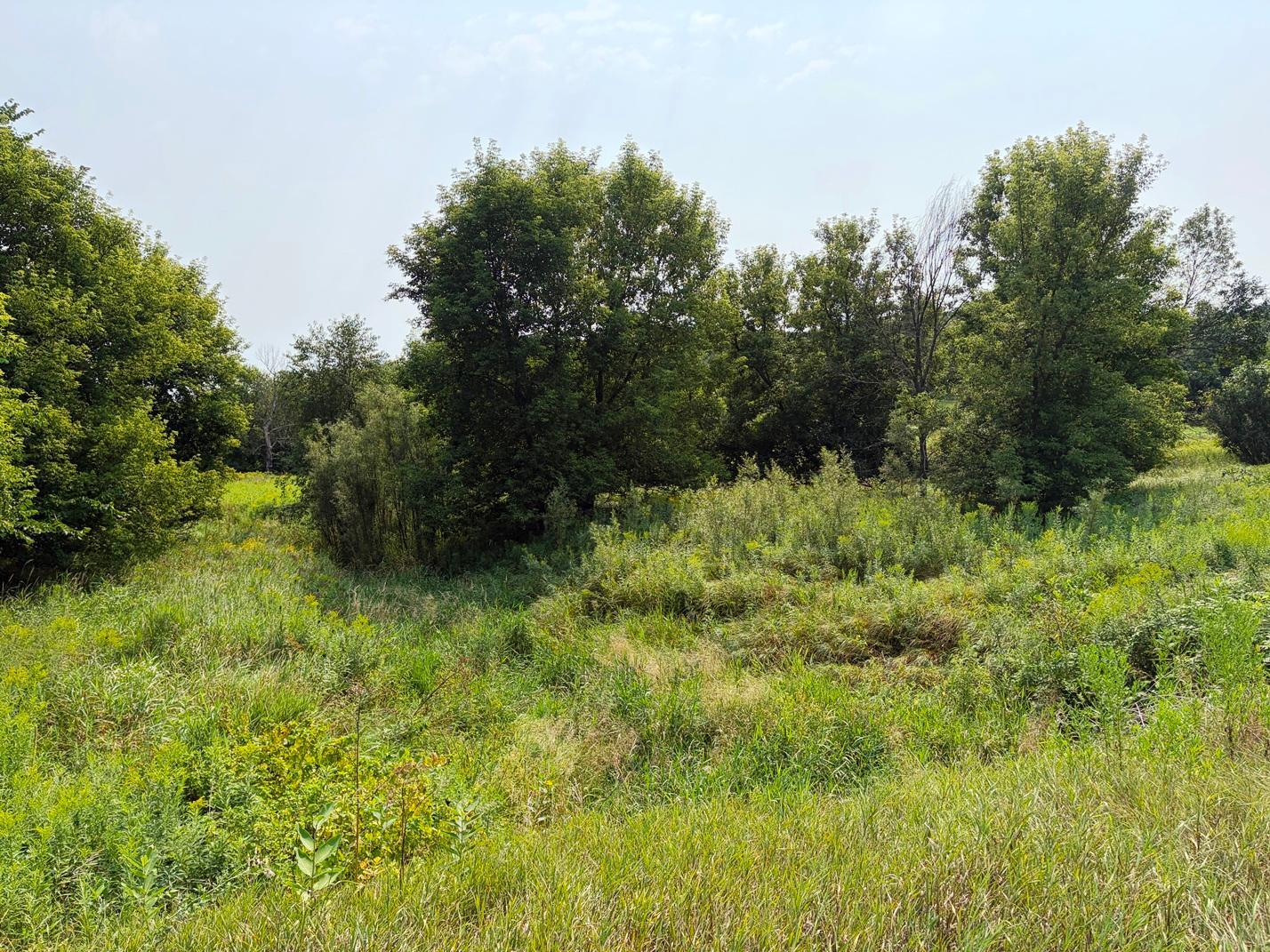 Tbd Lands Along 160th Ave & 315th St Property Photo 3