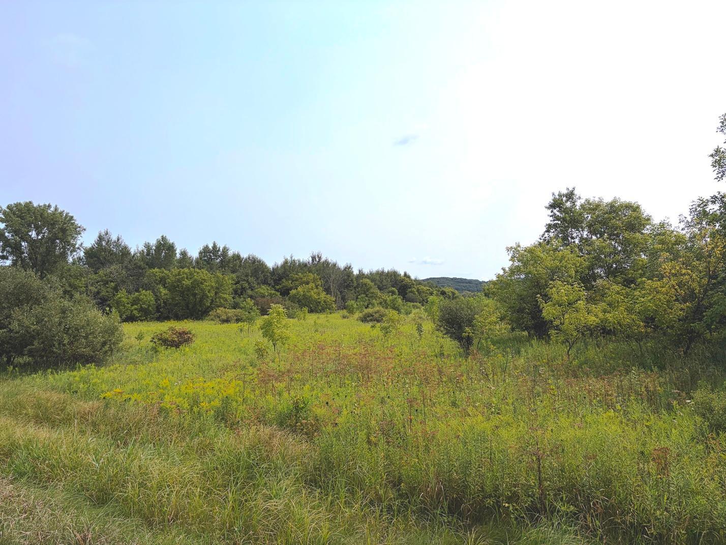 Tbd Lands Along 160th Ave & 315th St Property Photo 4
