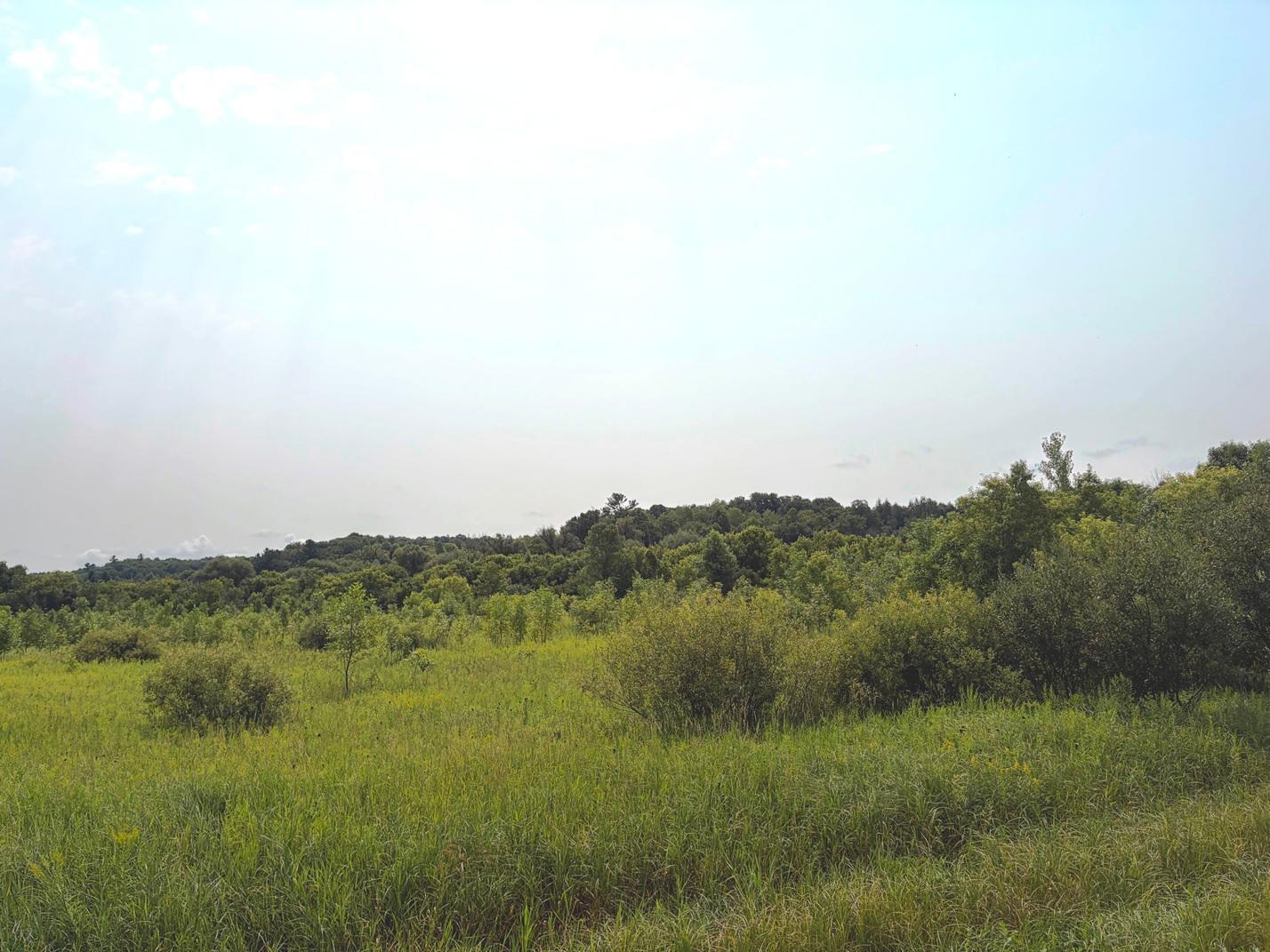 Tbd Lands Along 160th Ave & 315th St Property Photo 5