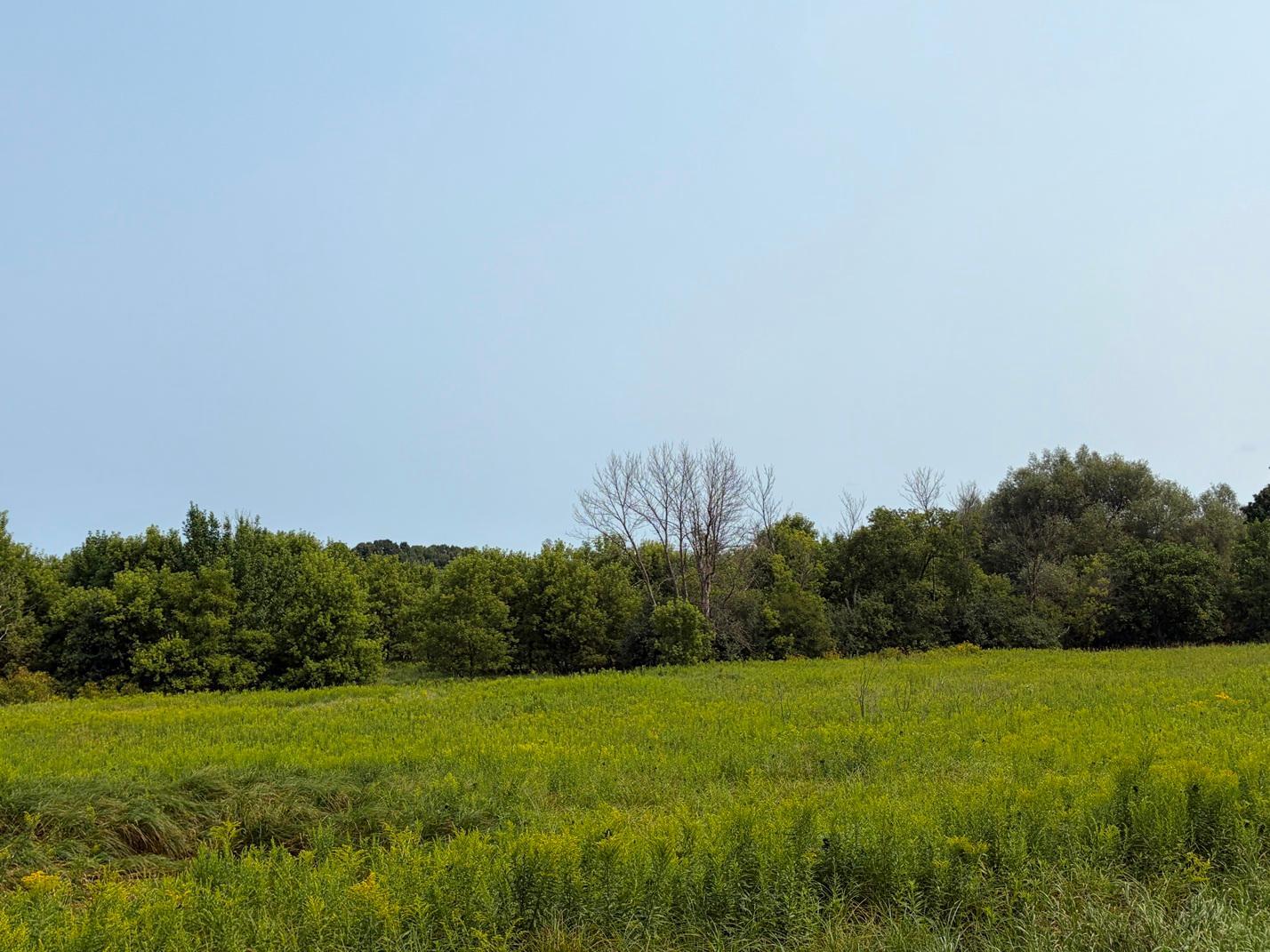 Tbd Lands Along 160th Ave & 315th St Property Photo 7