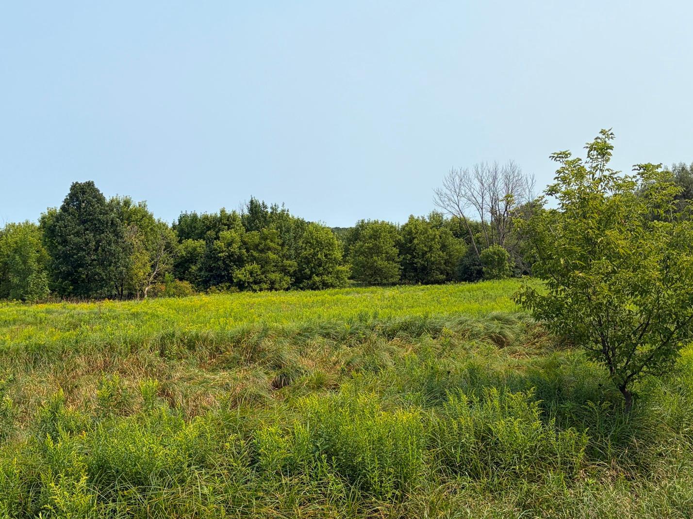Tbd Lands Along 160th Ave & 315th St Property Photo 8