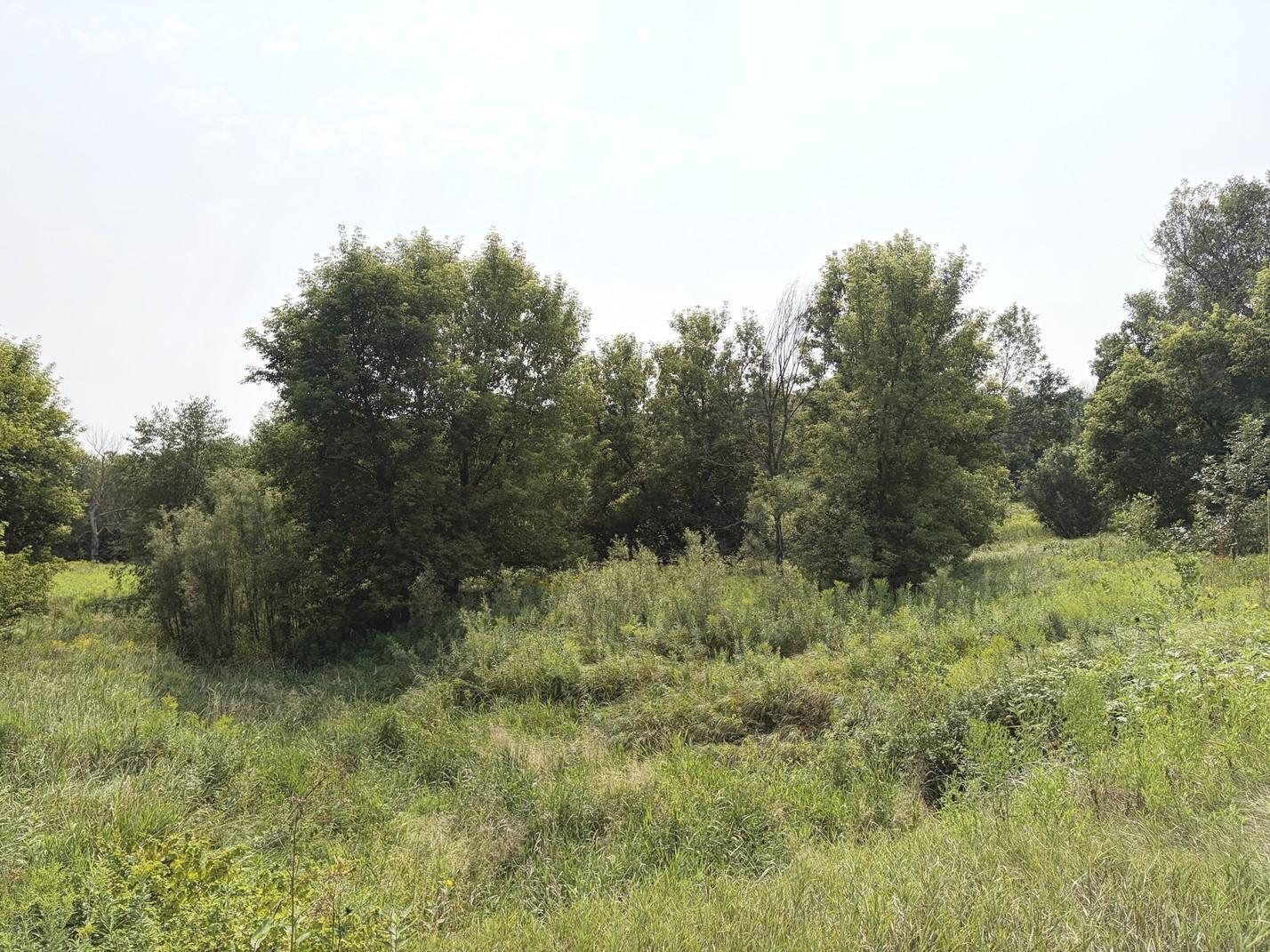 Tbd Lands Along 160th Ave & 315th St Property Photo 9