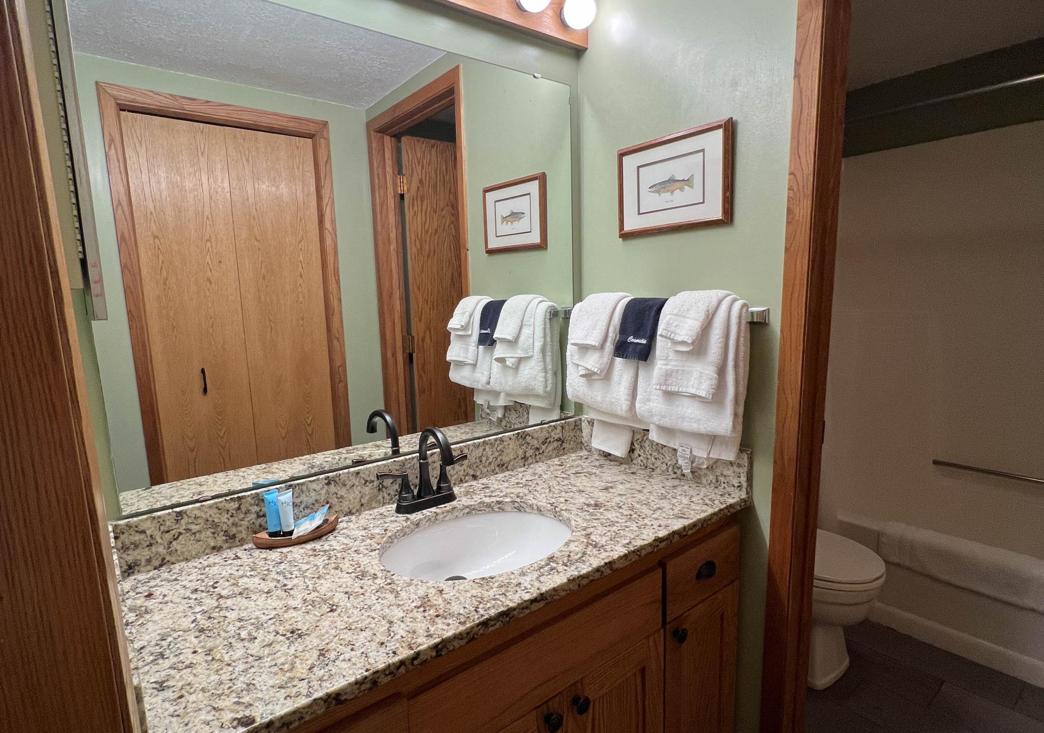 529 Moose Mountain Drive Property Photo 11