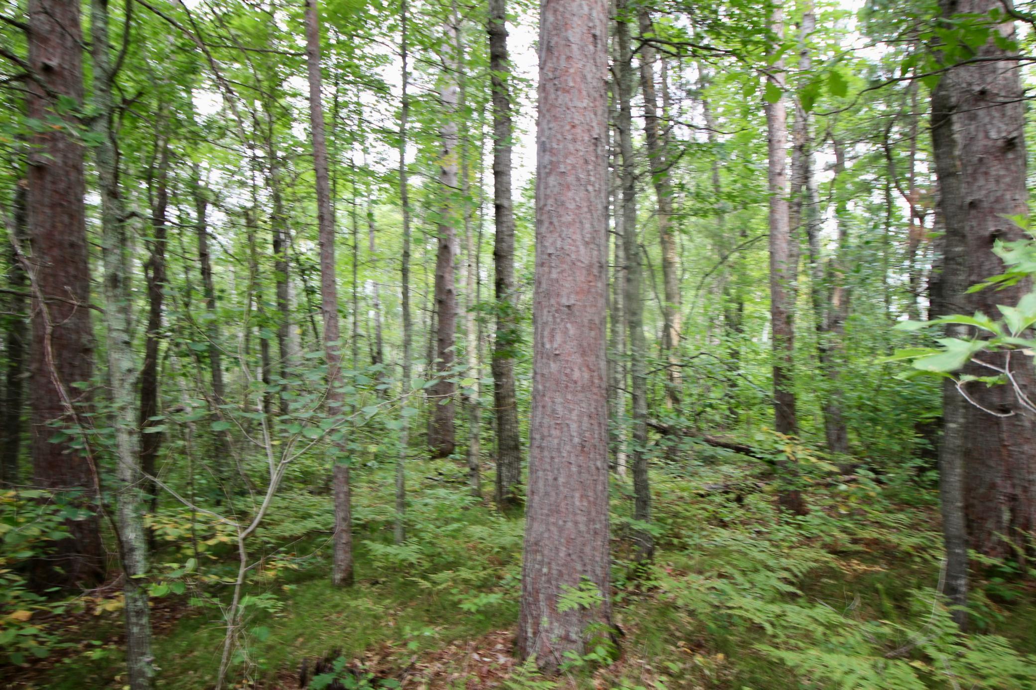 Tbd Gravdahl Drive Property Photo 4