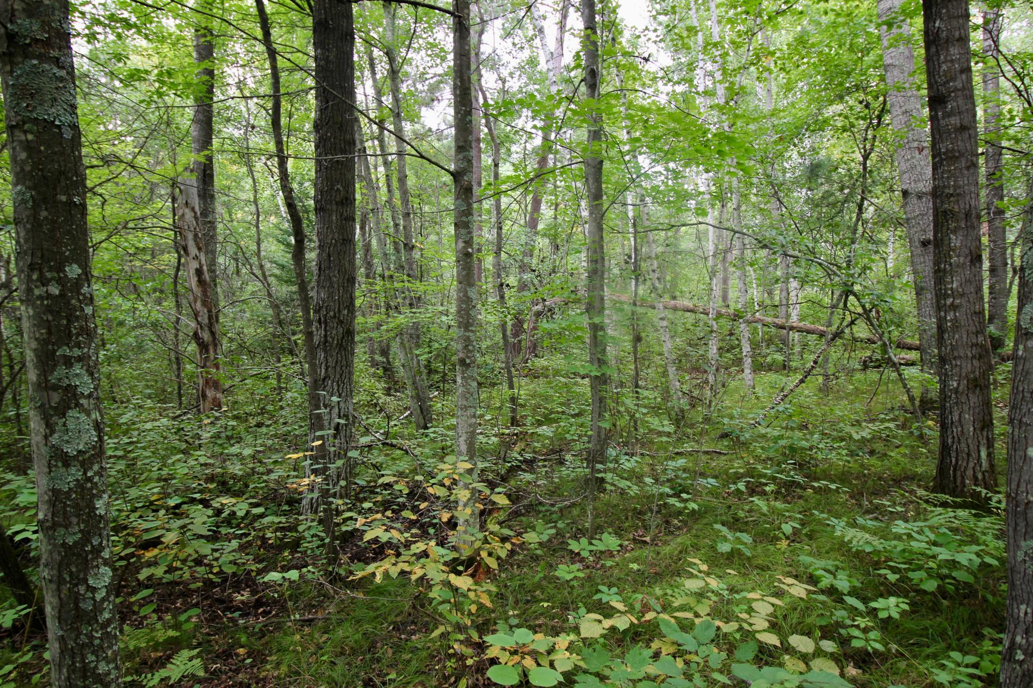 Tbd Gravdahl Drive Property Photo 6