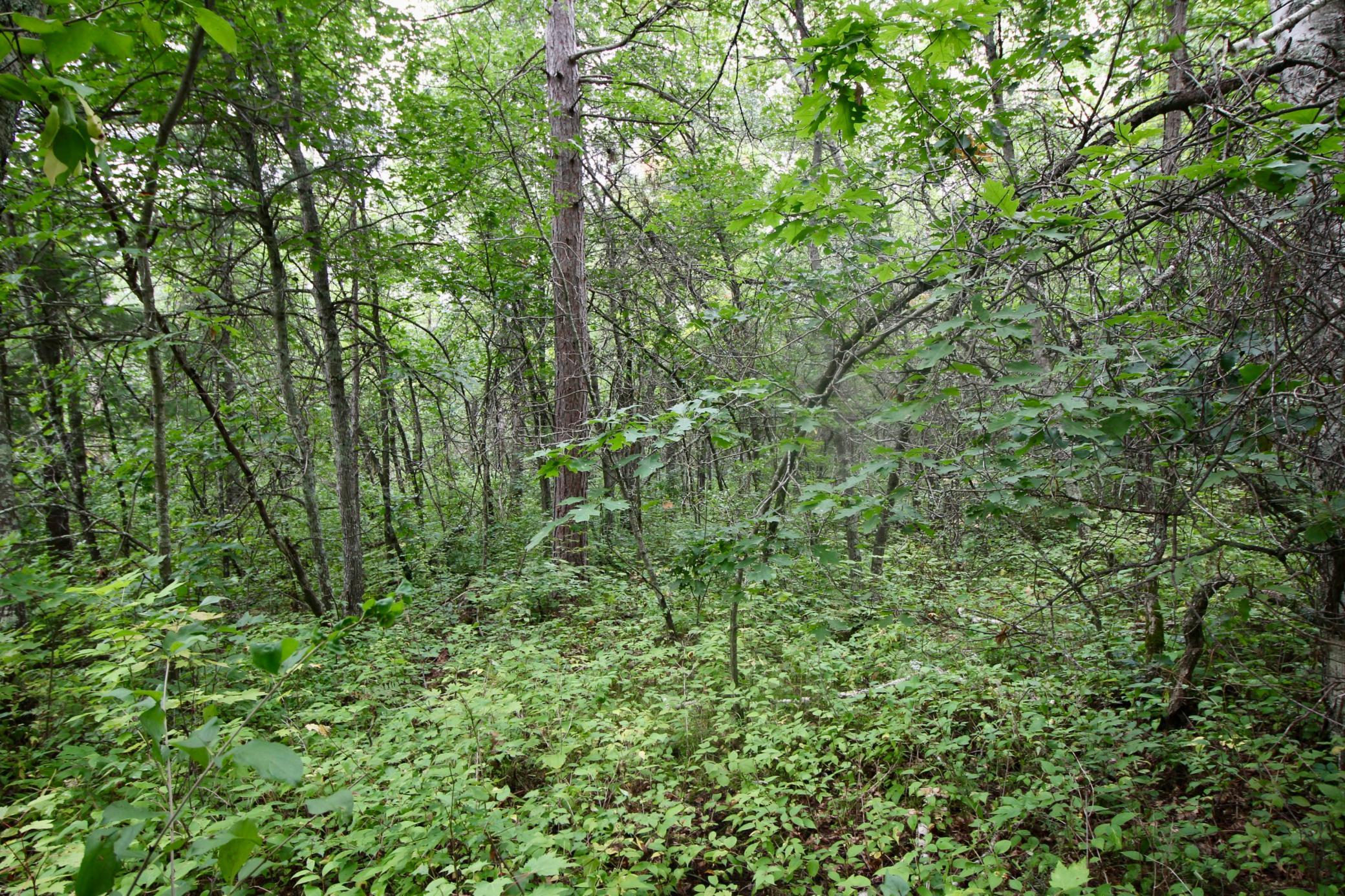 Tbd Gravdahl Drive Property Photo 10