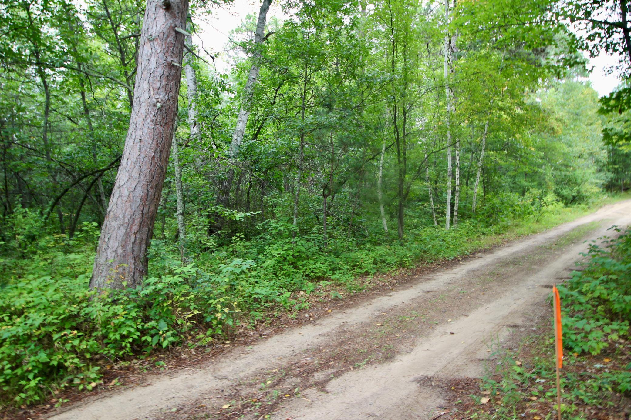 Tbd Gravdahl Drive Property Photo 11