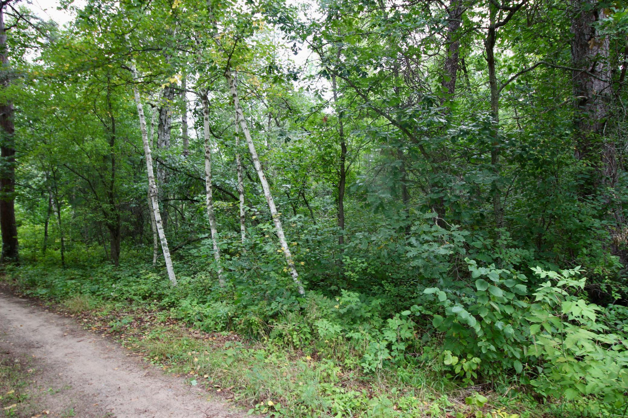 Tbd Gravdahl Drive Property Photo 12