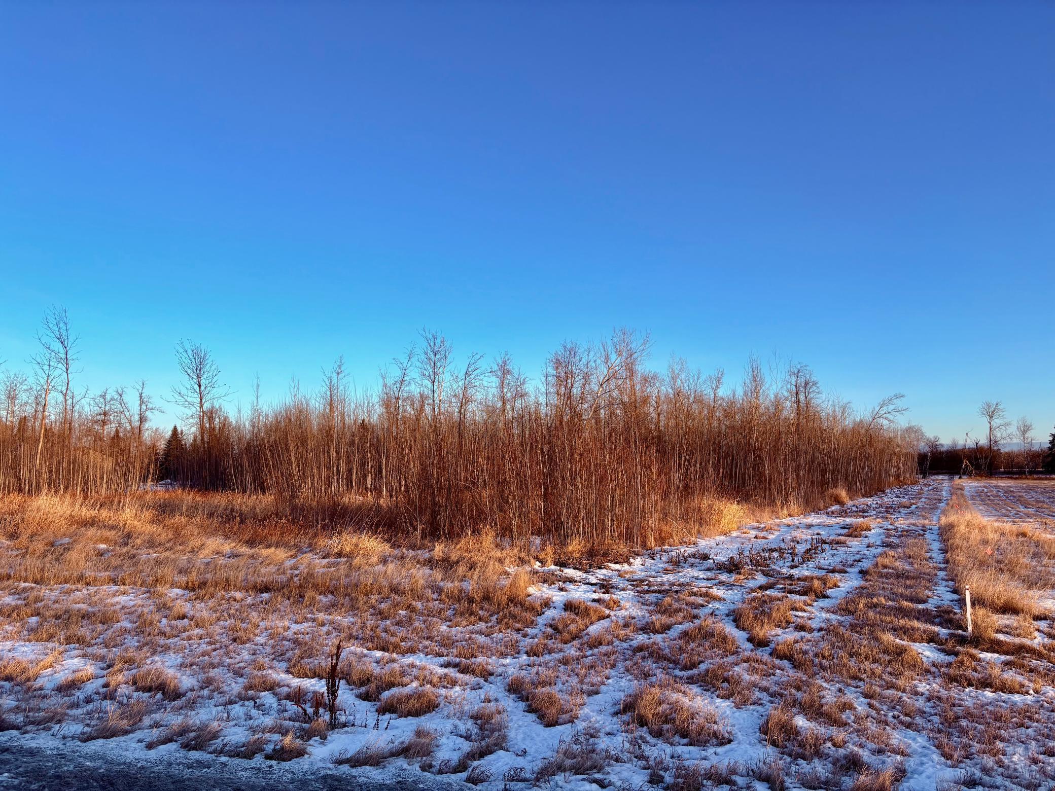 Lot 1 Hooper Creek Loop Nw Property Photo 6
