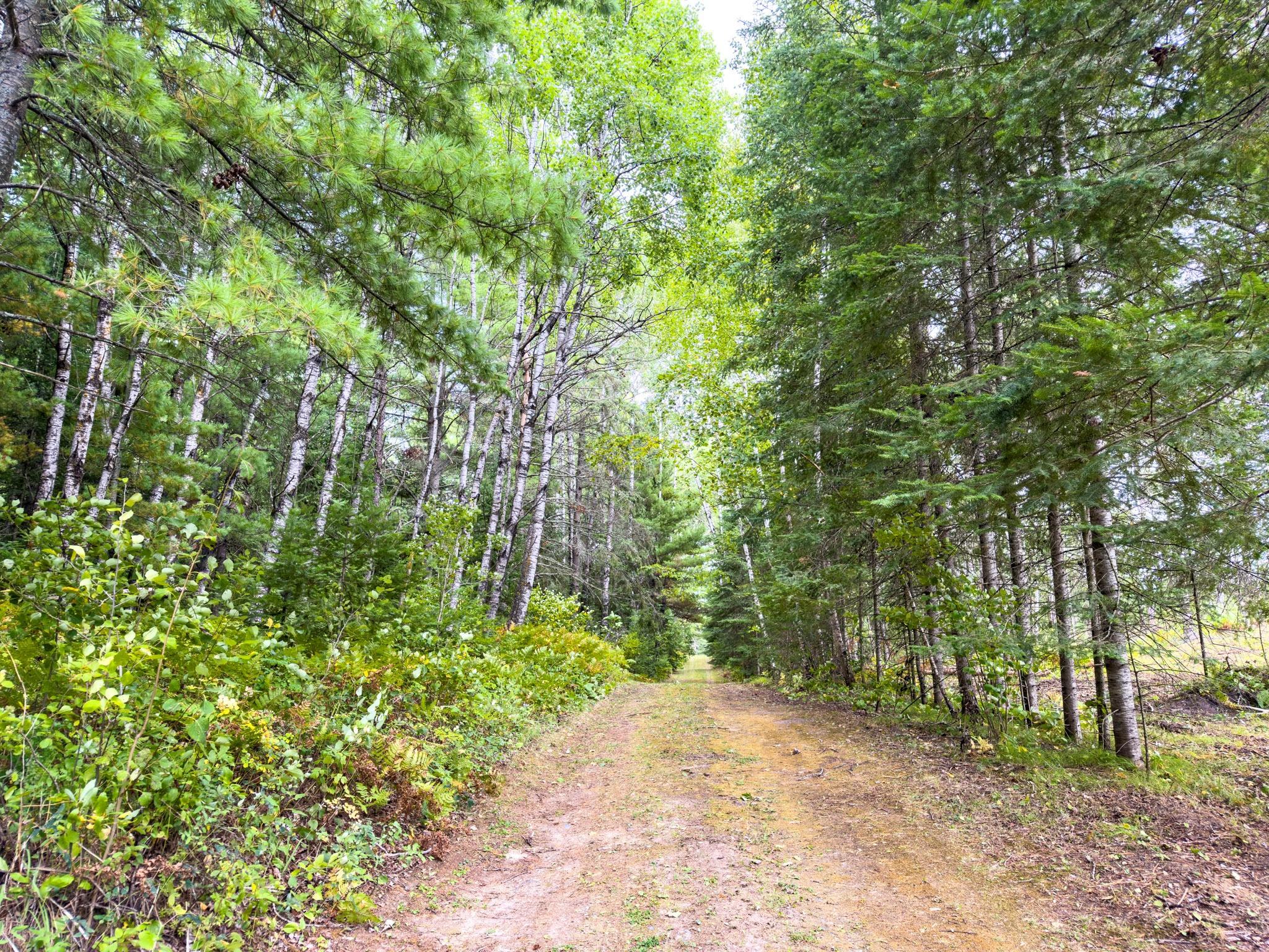 35726 Dinner Lake Loop Property Photo 49