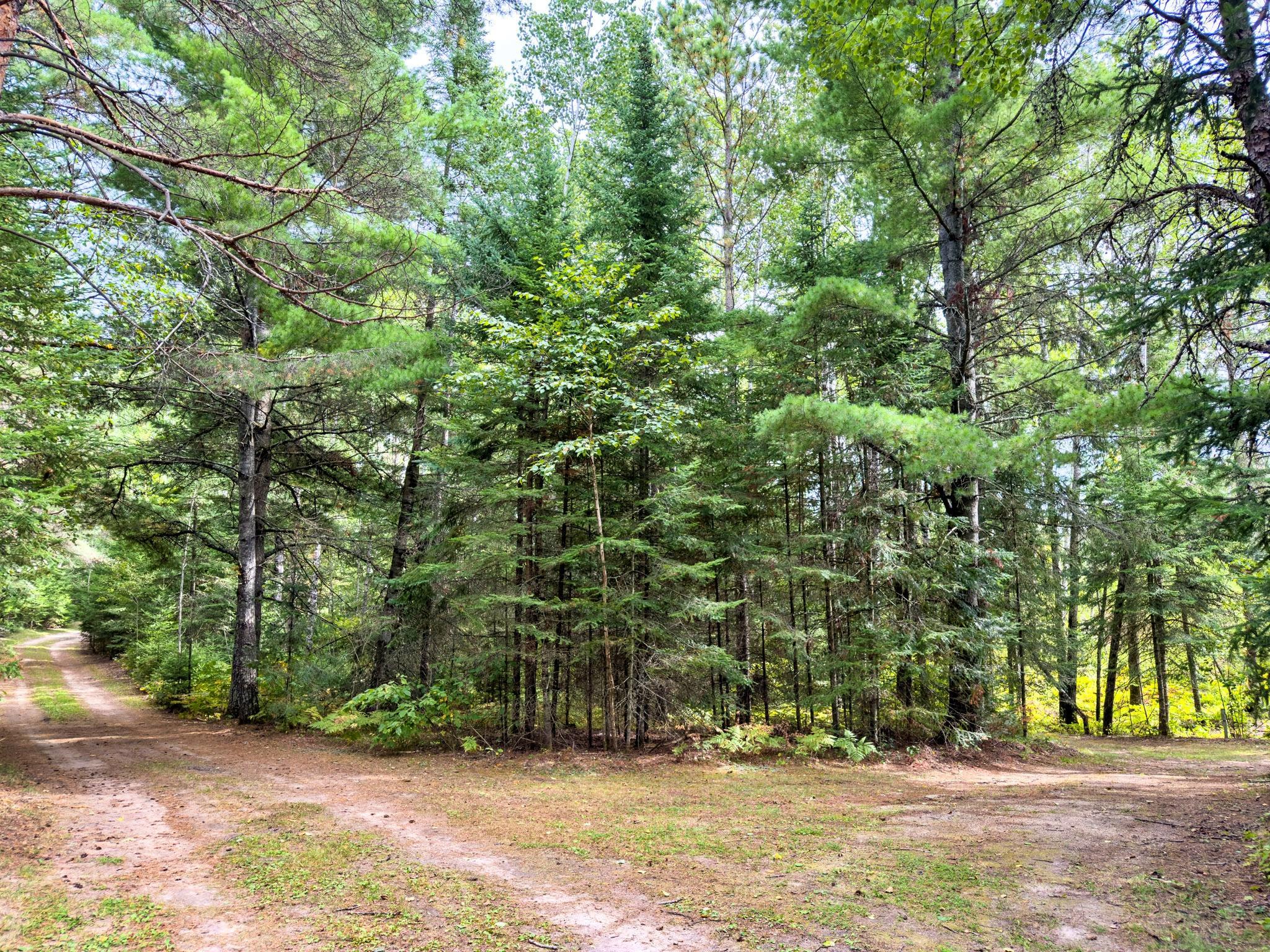 35726 Dinner Lake Loop Property Photo 50
