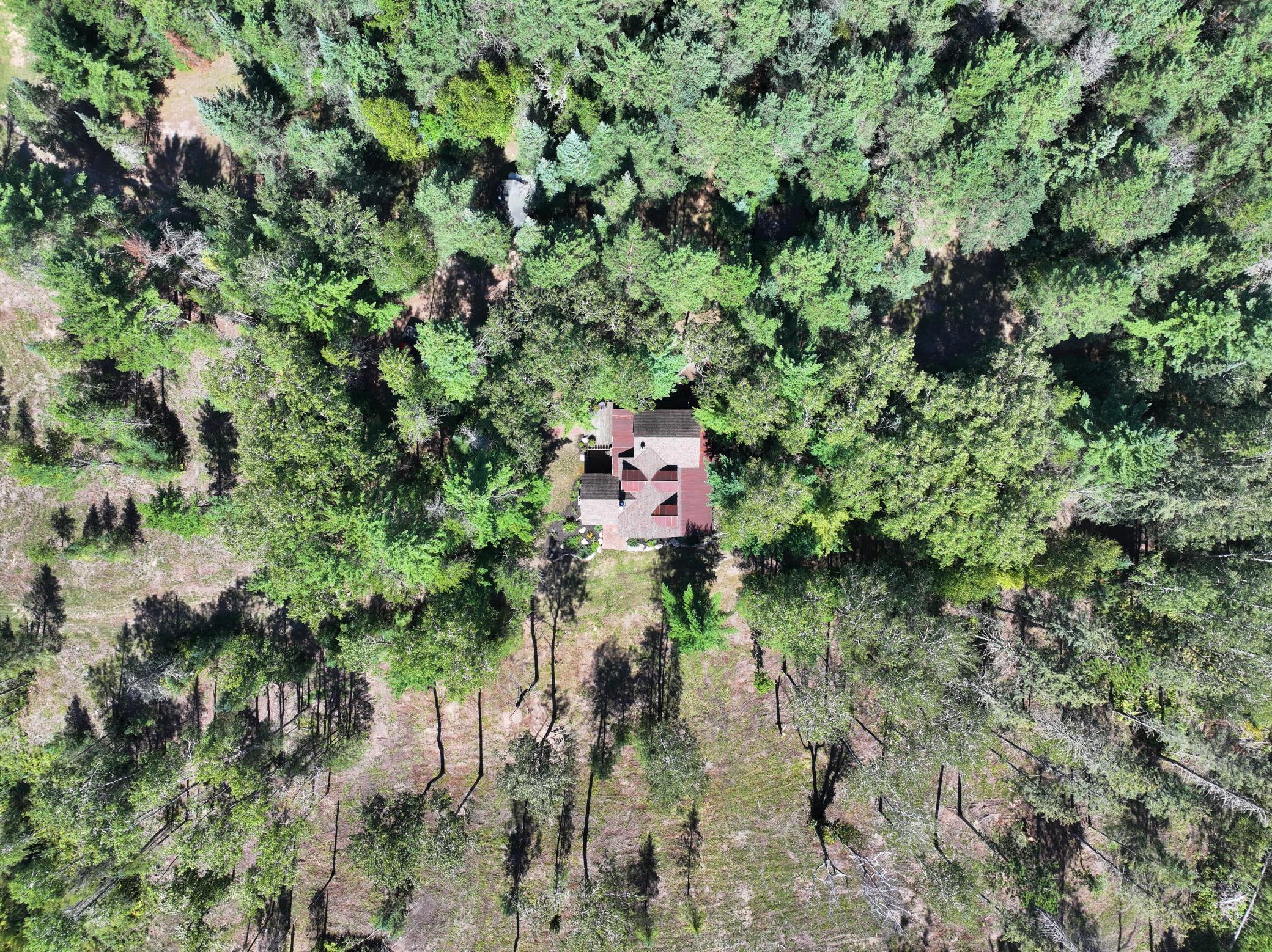 35726 Dinner Lake Loop Property Photo 52