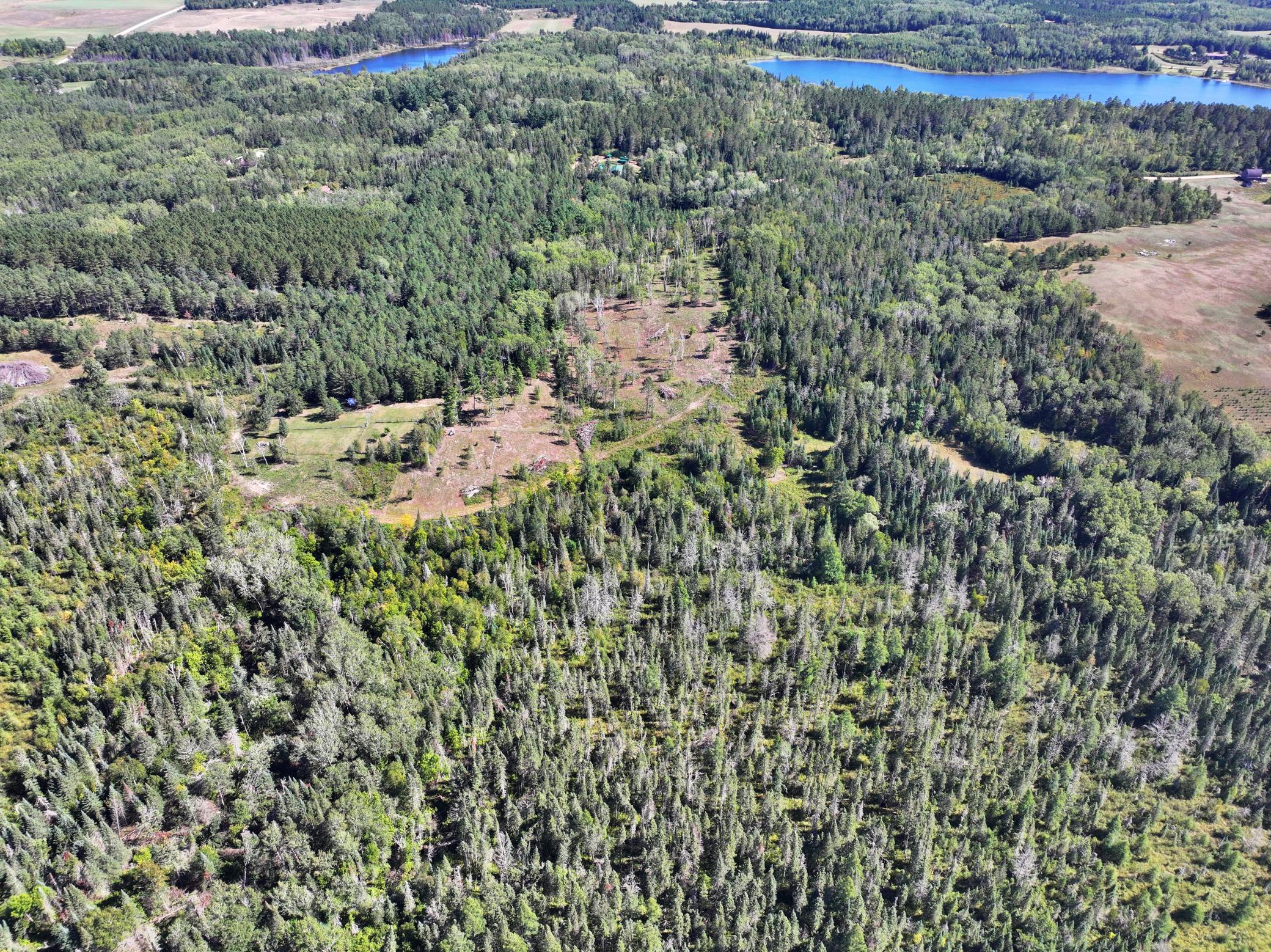 35726 Dinner Lake Loop Property Photo 56