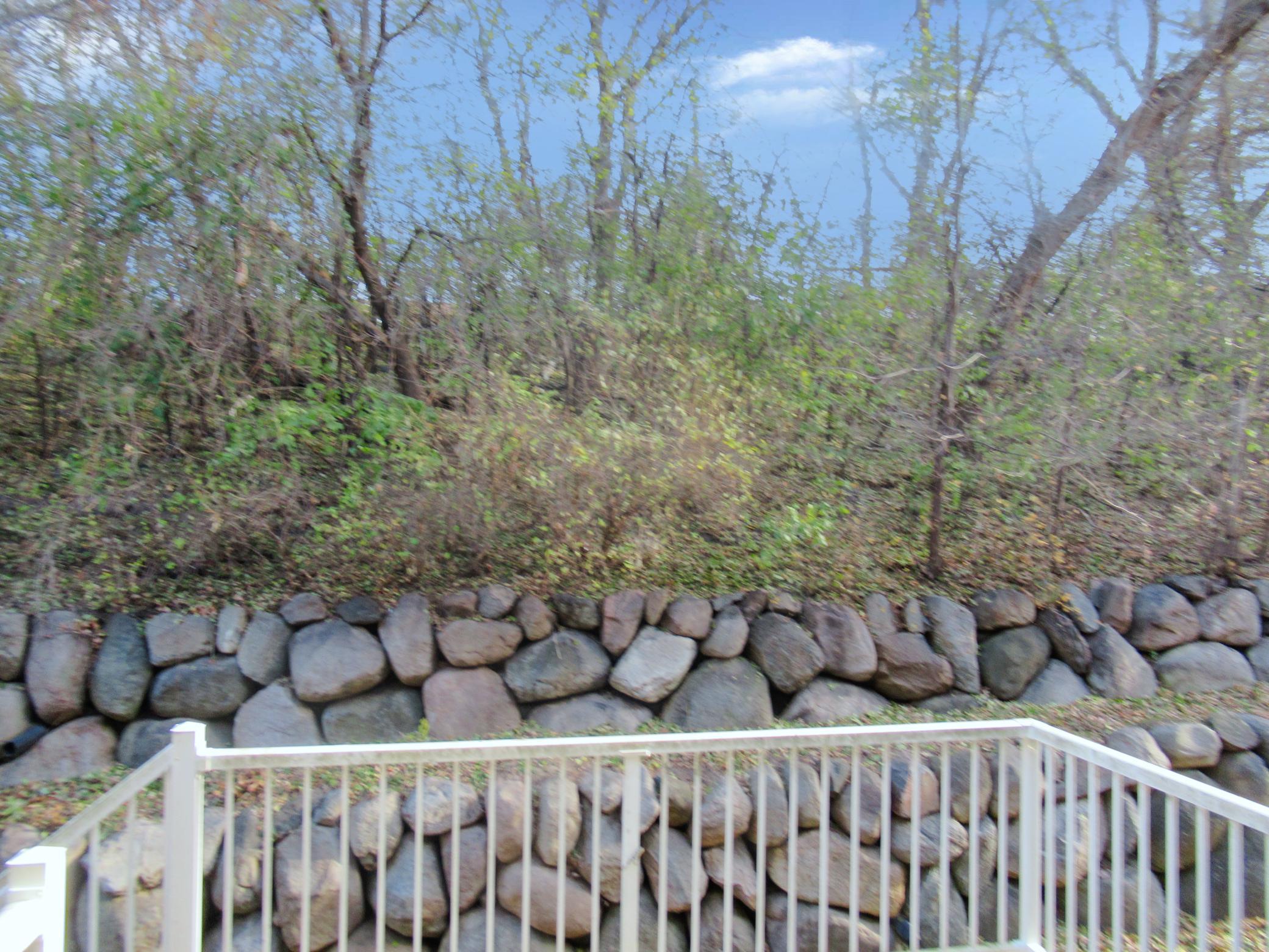 4002 Cedar Grove Lane Property Photo 3
