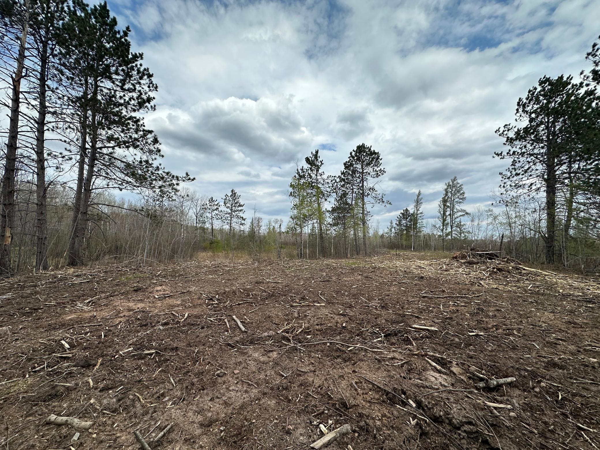 Tbd #1 Koecher Road Property Photo 4