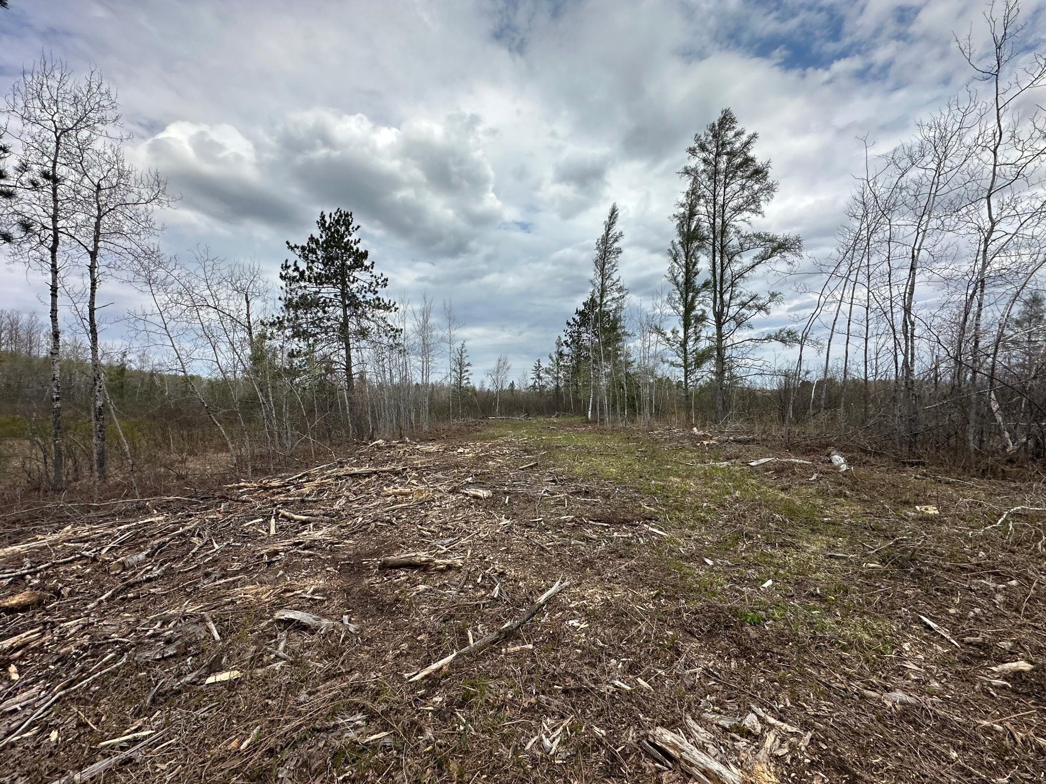 Tbd #1 Koecher Road Property Photo 6