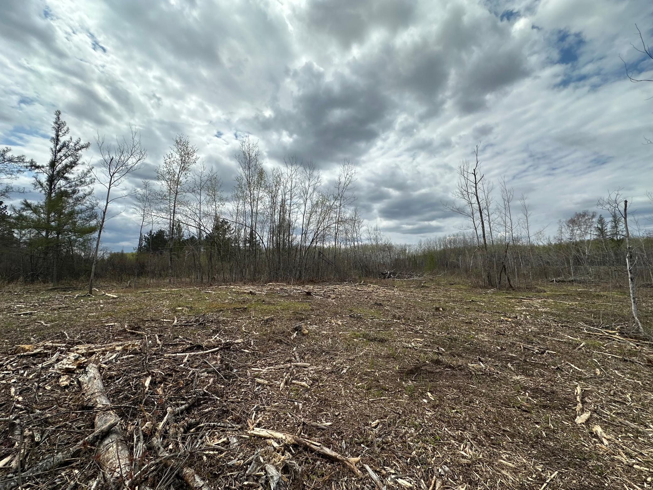 Tbd #1 Koecher Road Property Photo 10