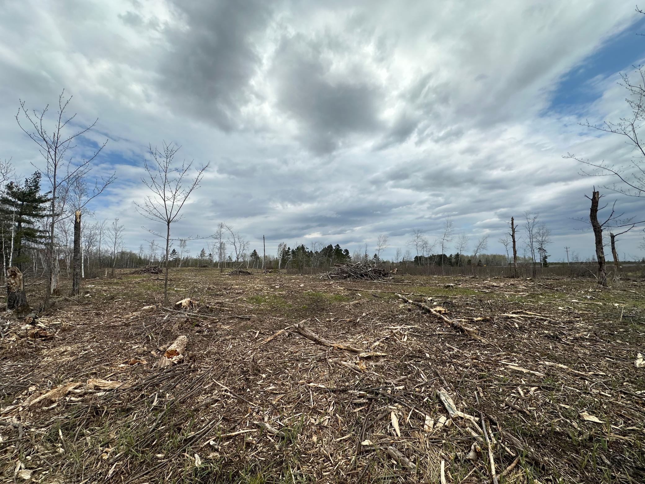 Tbd #2 Koecher Road Property Photo 4