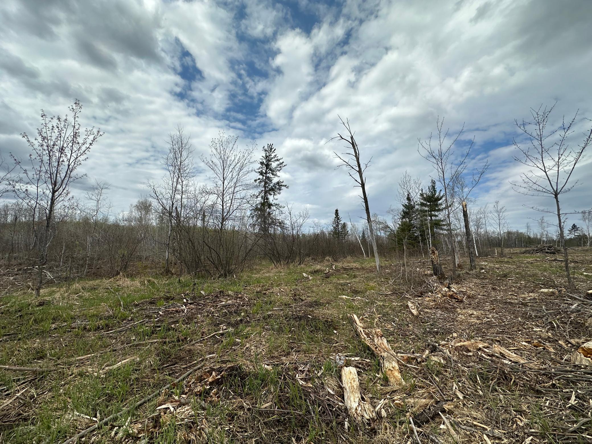 Tbd #2 Koecher Road Property Photo 5