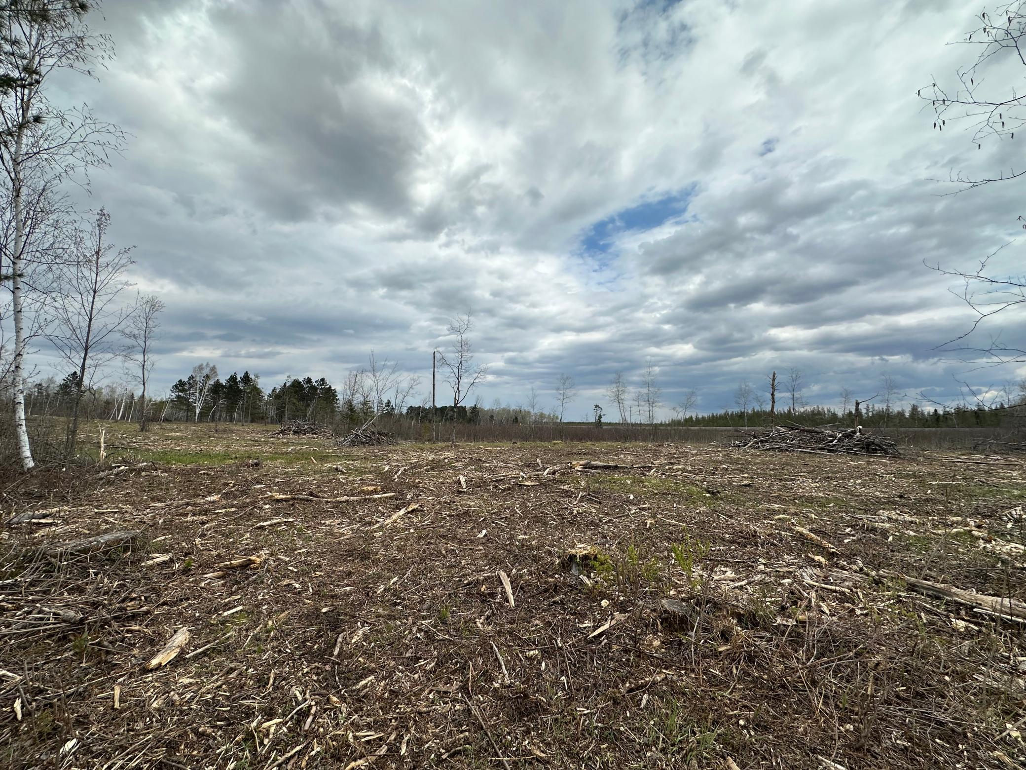 Tbd #2 Koecher Road Property Photo 6