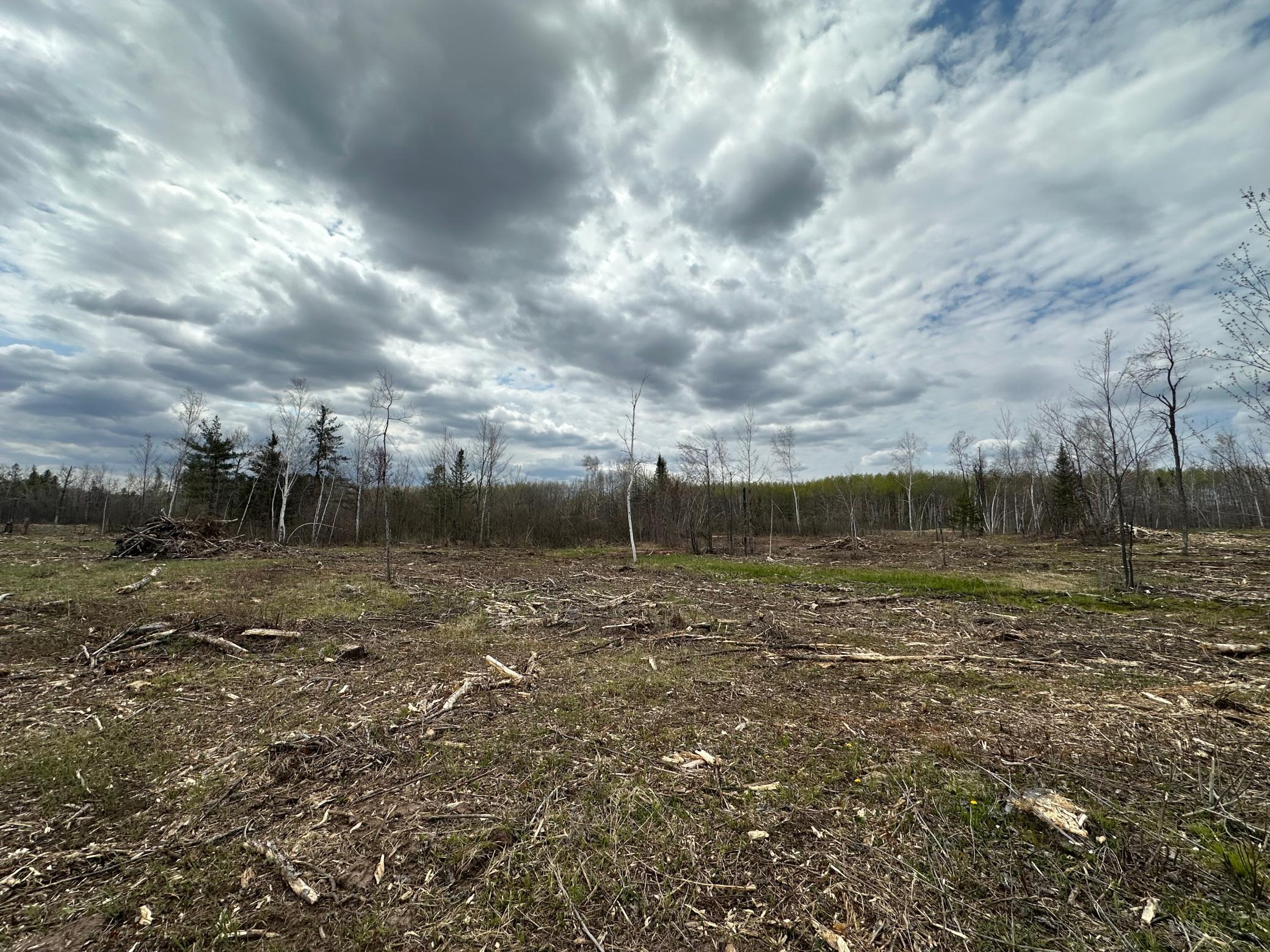 Tbd #2 Koecher Road Property Photo 7