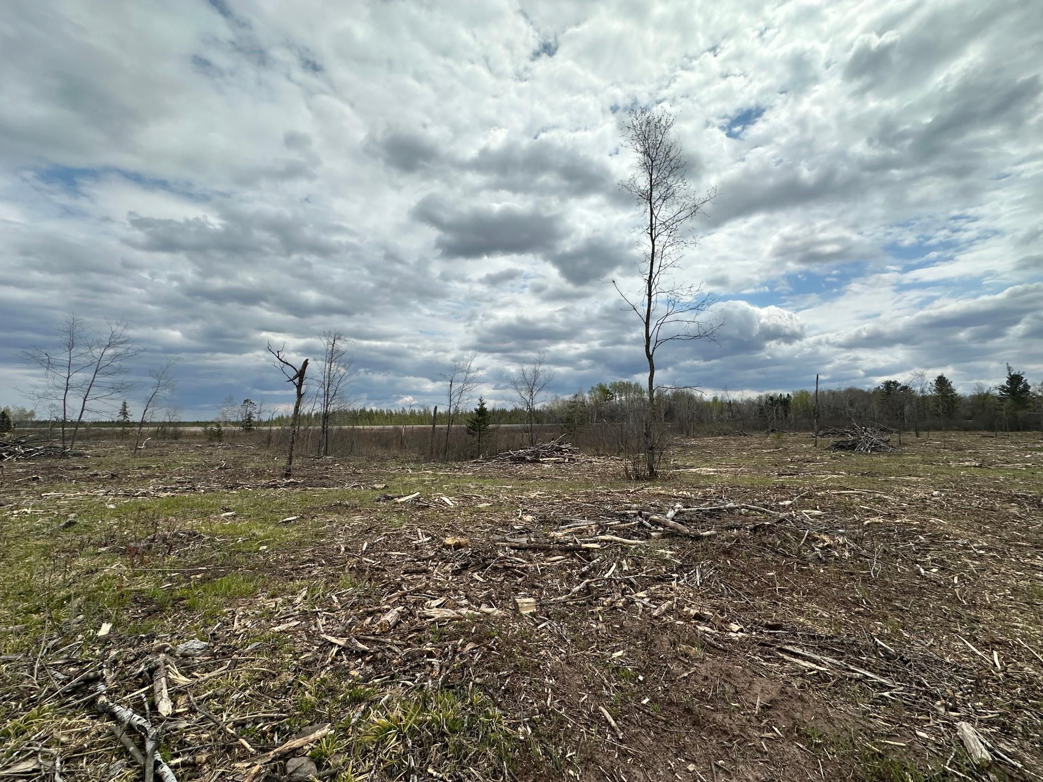 Tbd #2 Koecher Road Property Photo 8