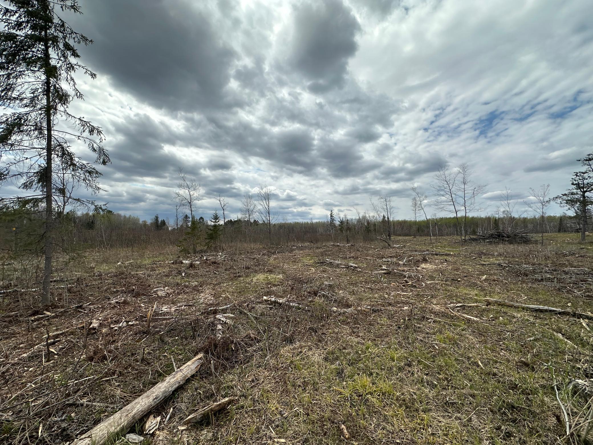 Tbd #2 Koecher Road Property Photo 10