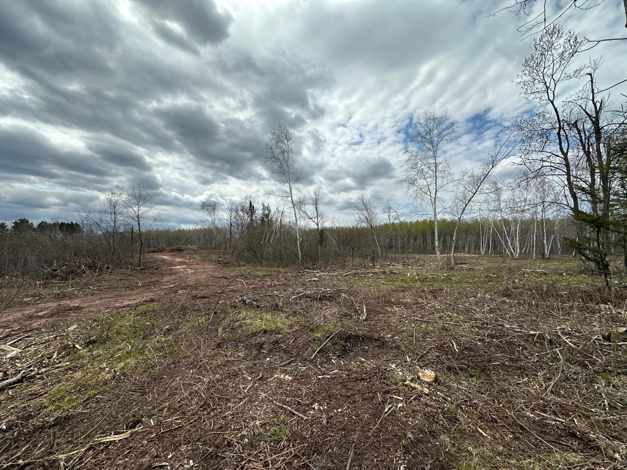Tbd #2 Koecher Road Property Photo 11