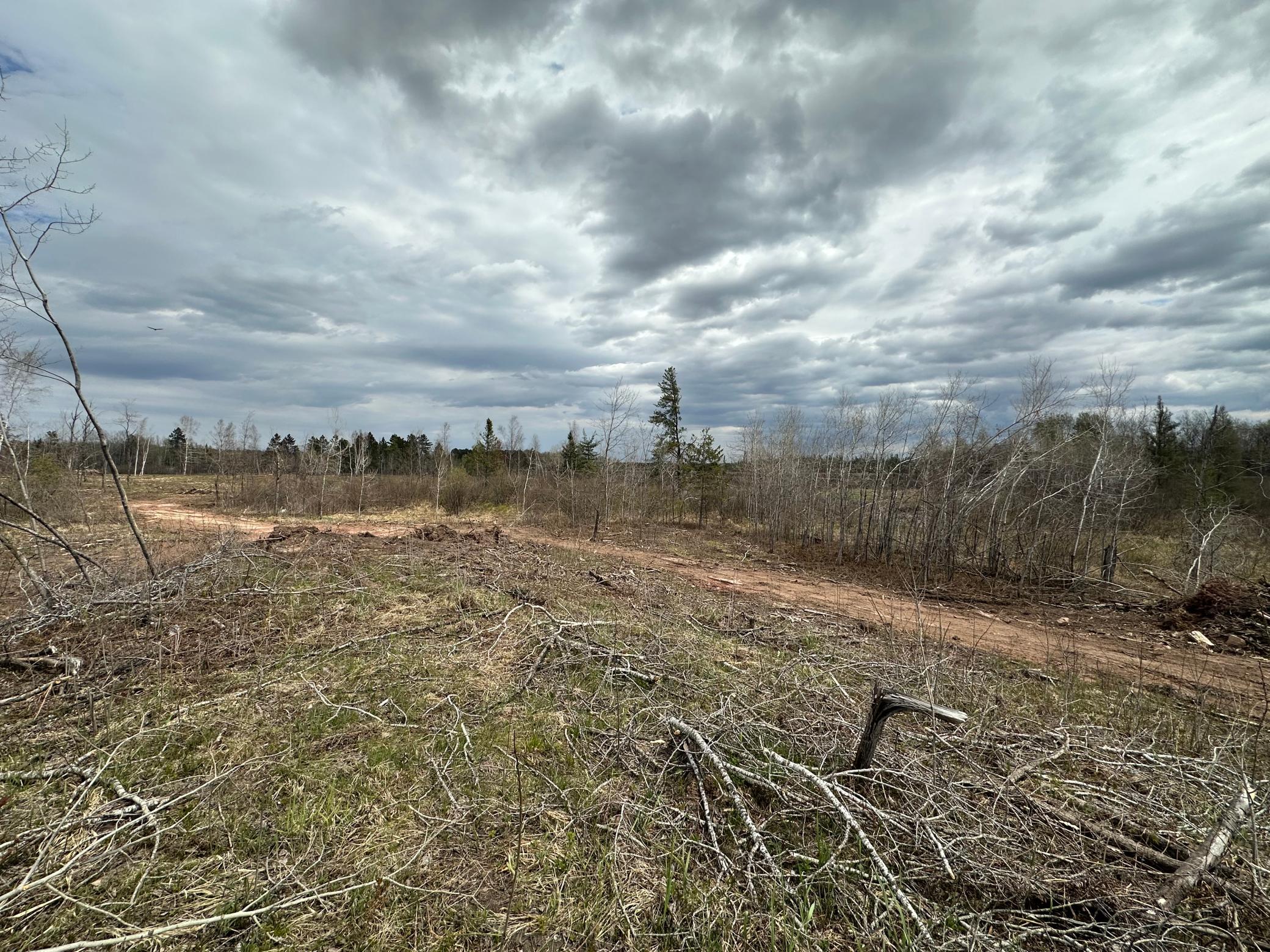 Tbd #2 Koecher Road Property Photo 13