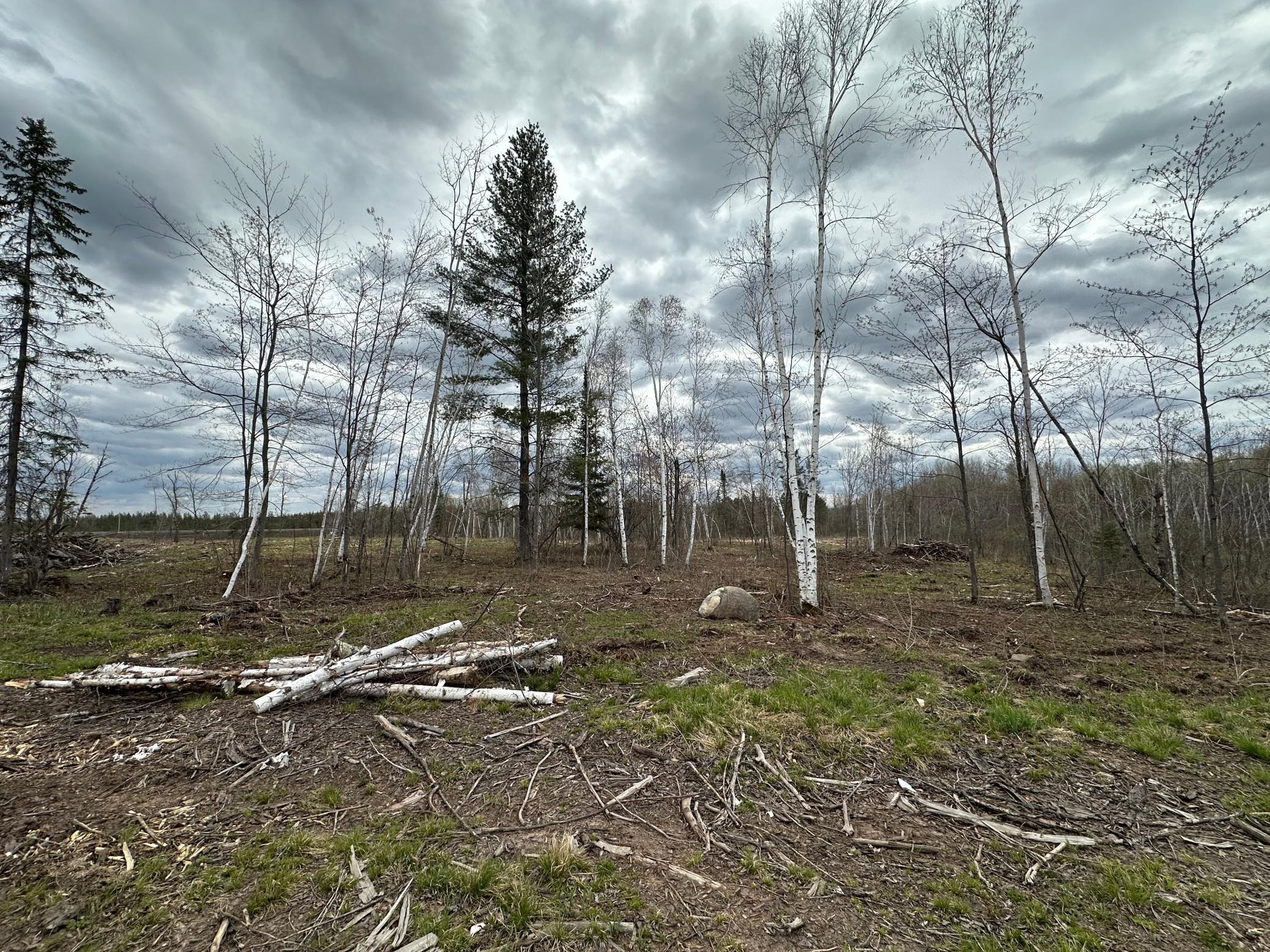 Tbd #3 Koecher Road Property Photo 1