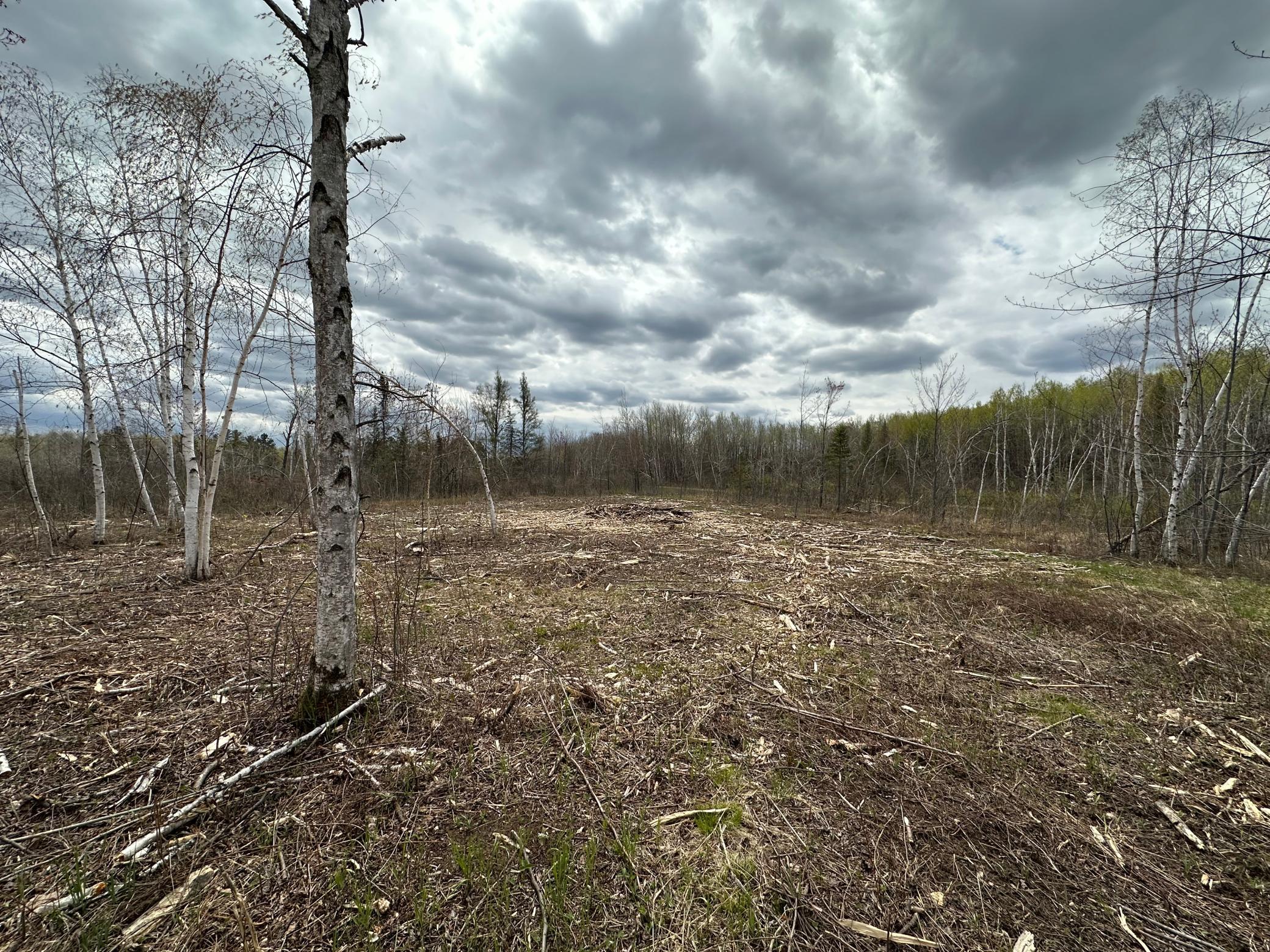 Tbd #3 Koecher Road Property Photo 5