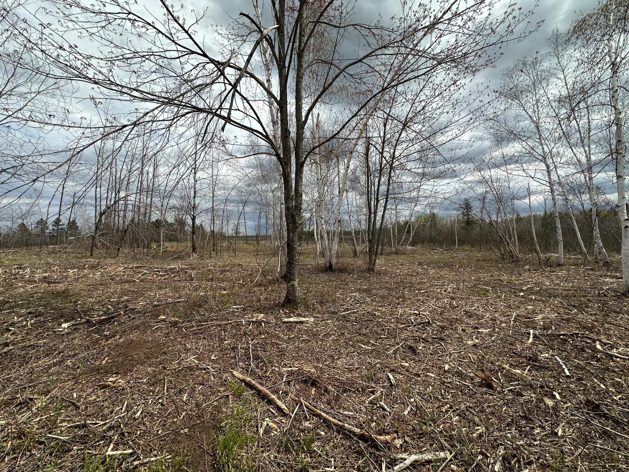 Tbd #3 Koecher Road Property Photo 6