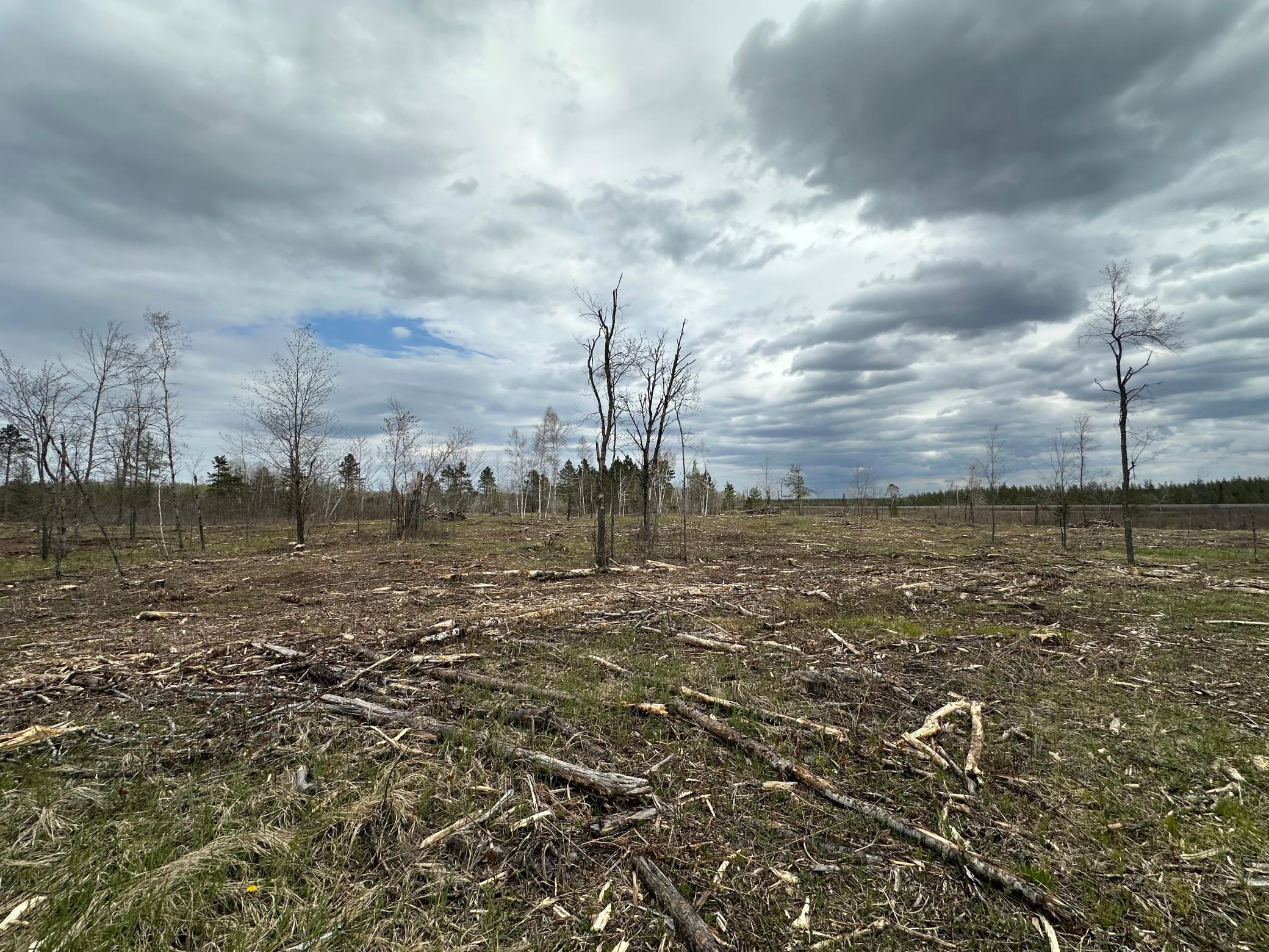 Tbd #3 Koecher Road Property Photo 7