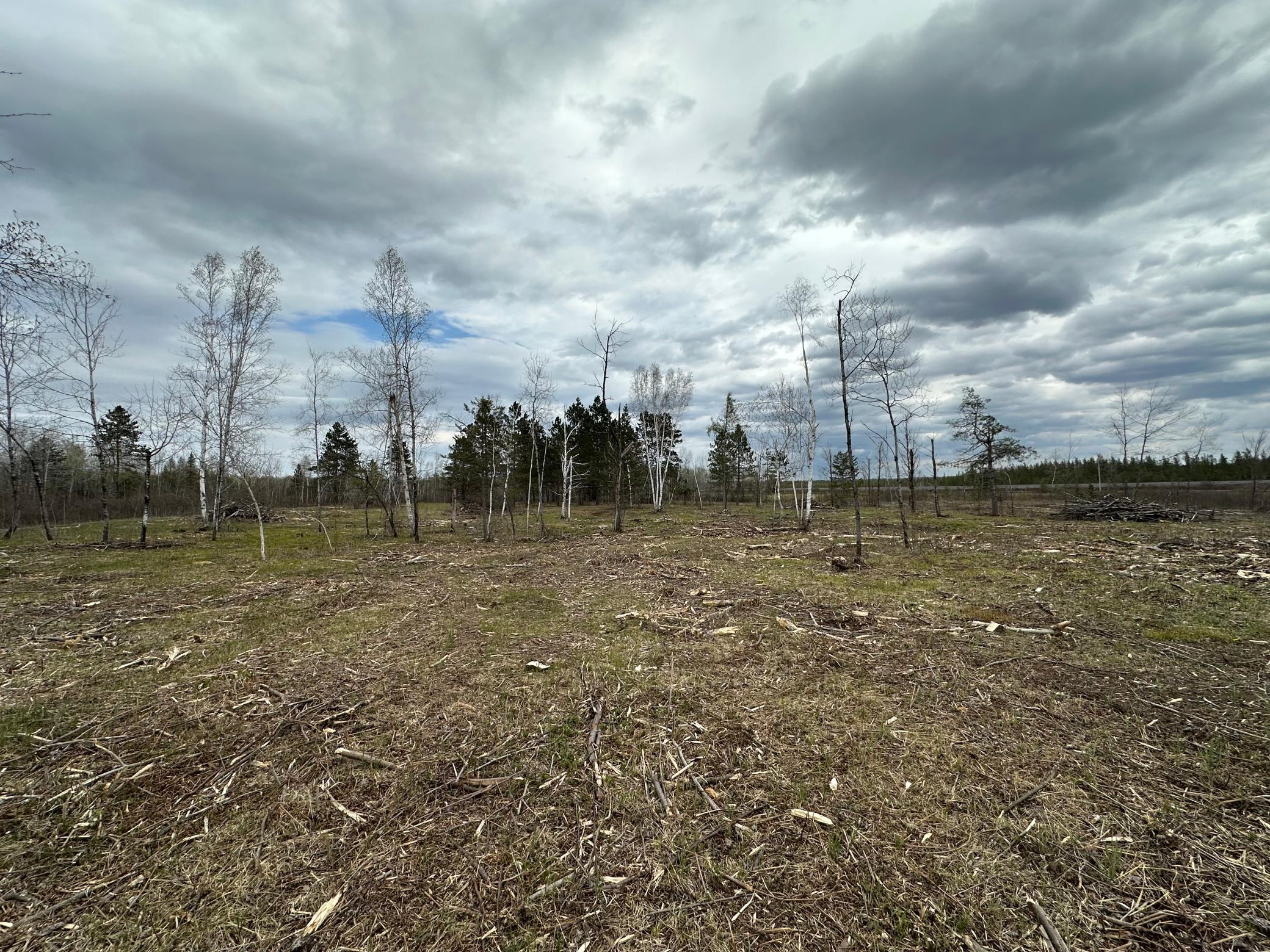 Tbd #3 Koecher Road Property Photo 8