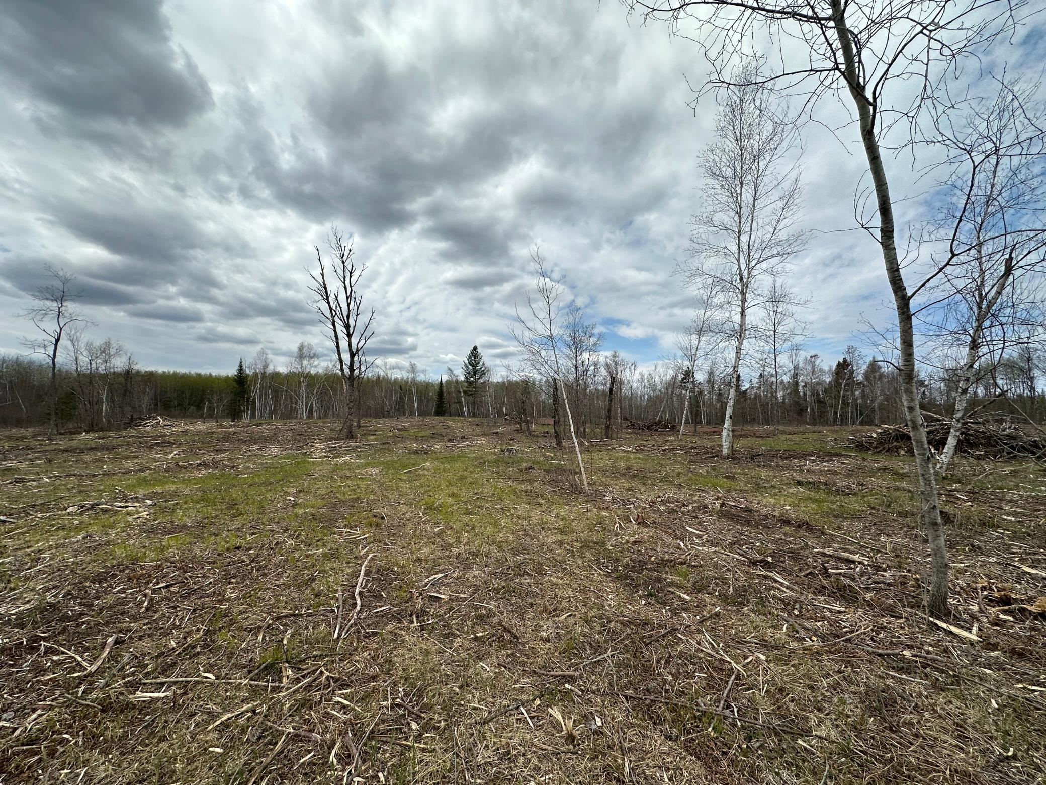 Tbd #3 Koecher Road Property Photo 9