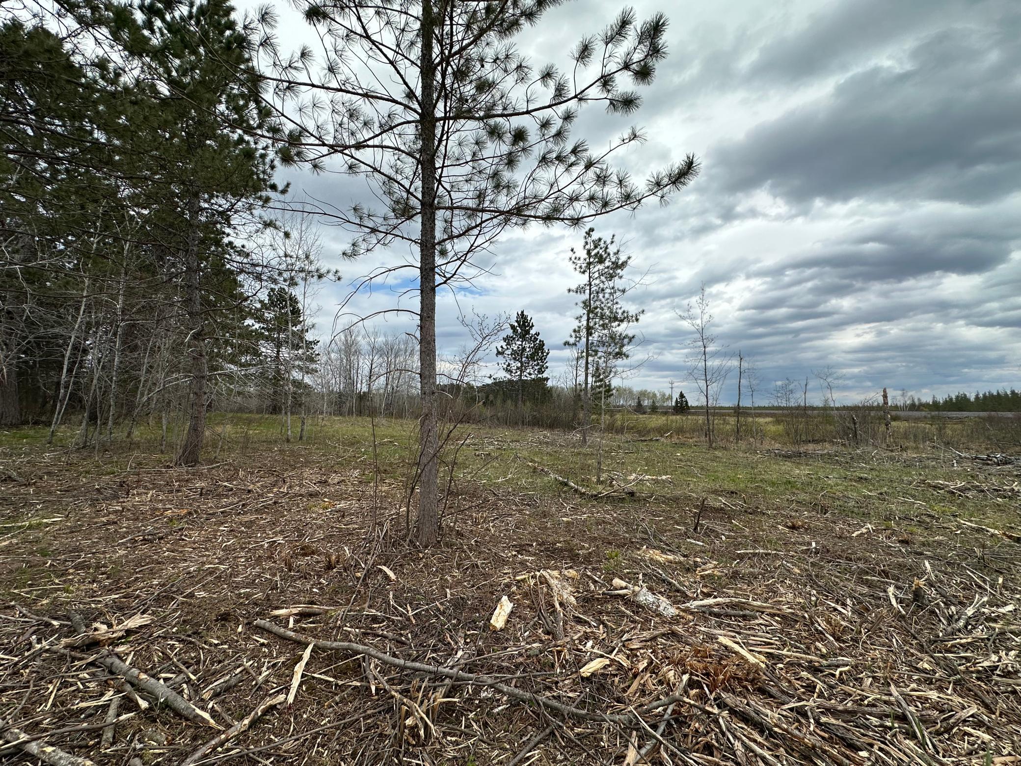 Tbd #3 Koecher Road Property Photo 10