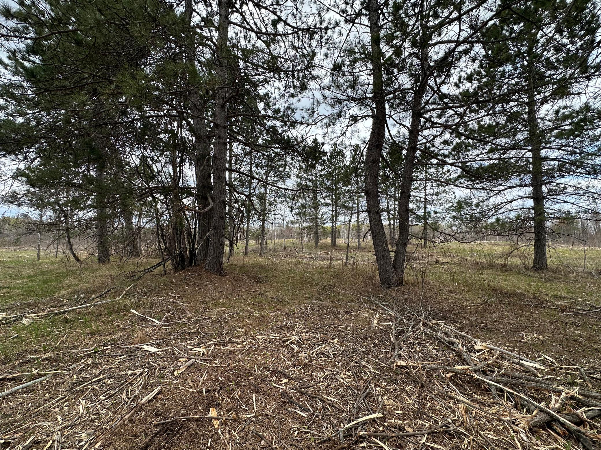 Tbd #3 Koecher Road Property Photo 11