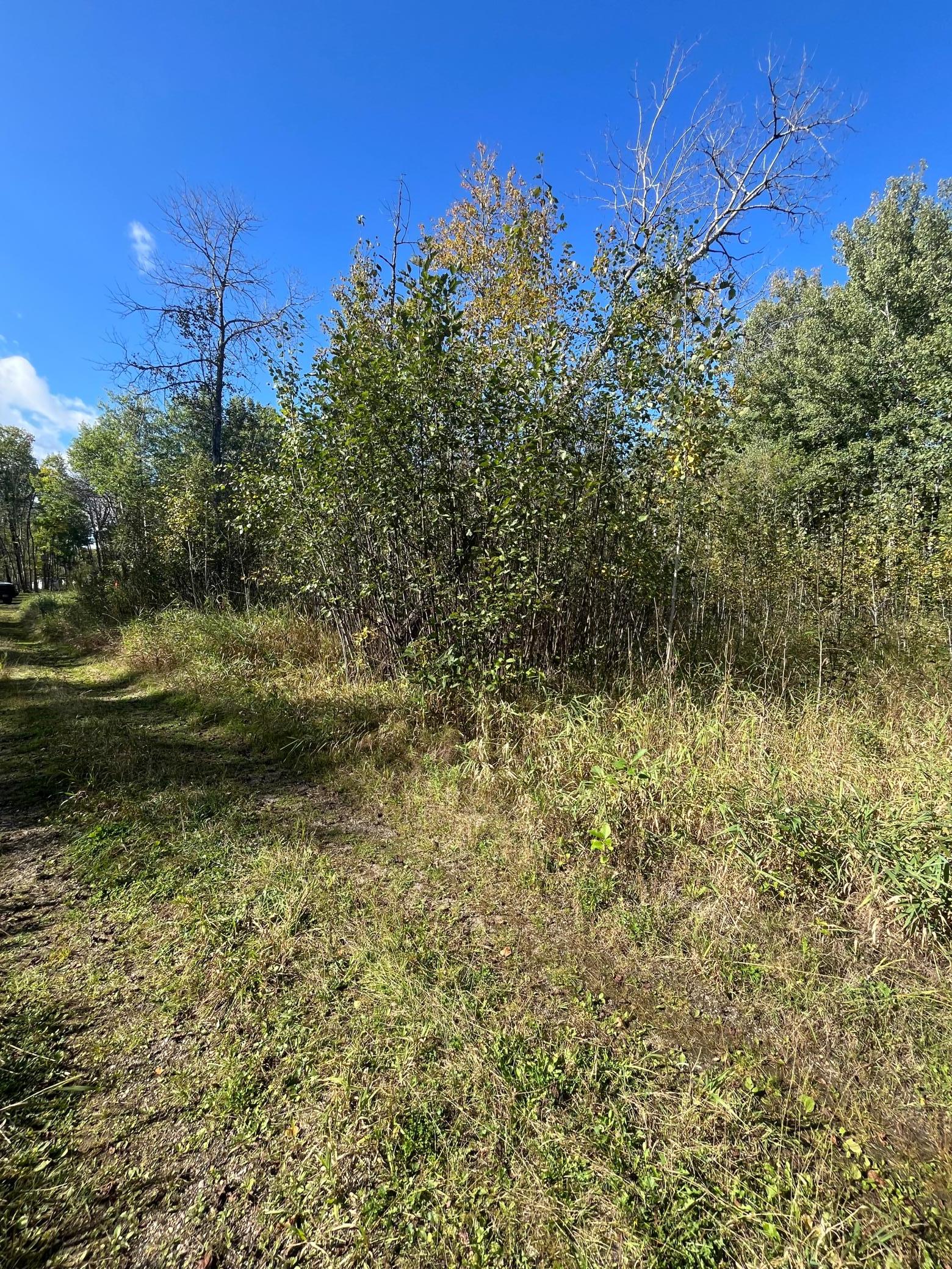 Tbd Parcel 1 E Pine Drive Property Photo 17