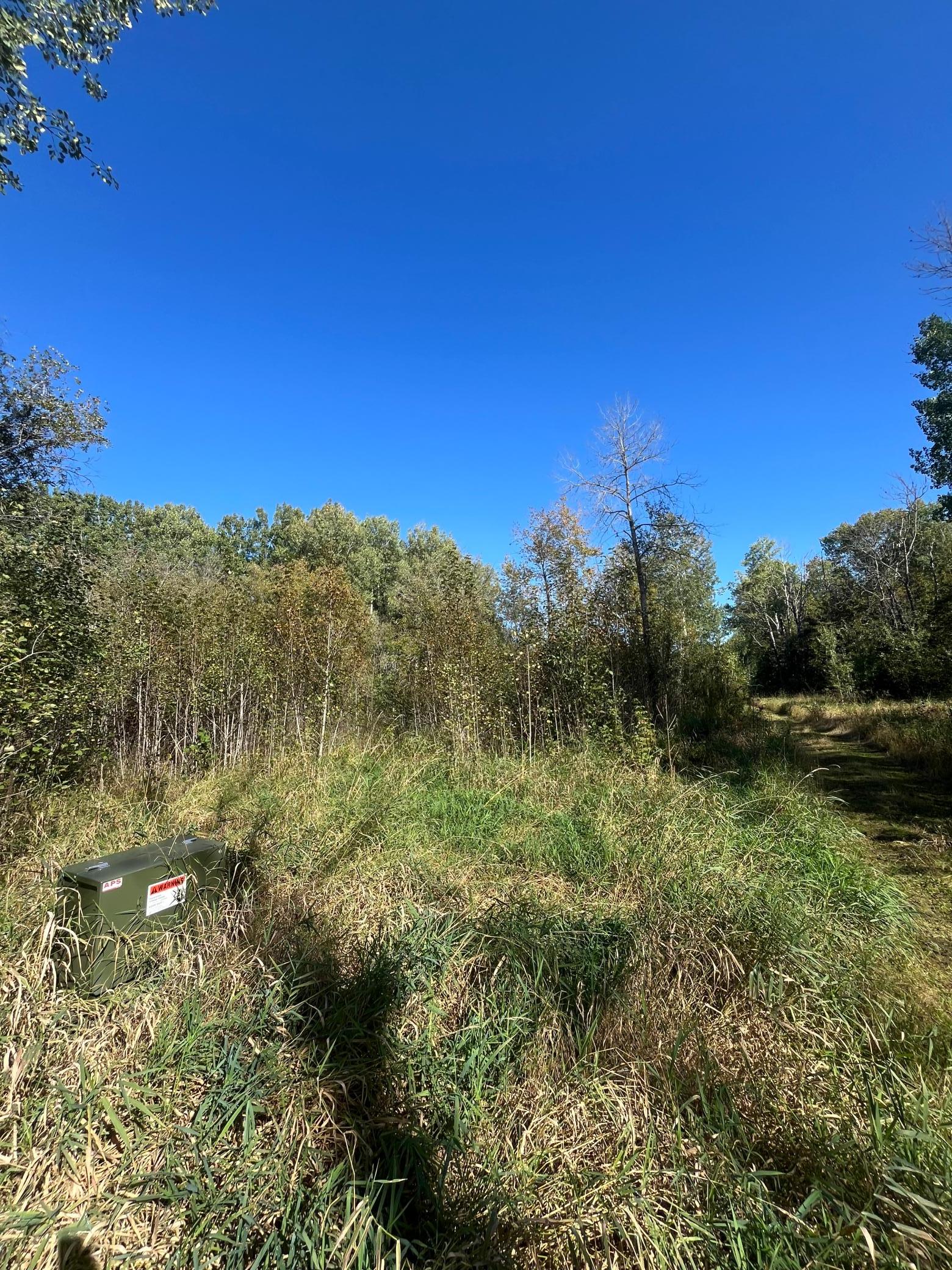 Tbd Parcel 1 E Pine Drive Property Photo 18