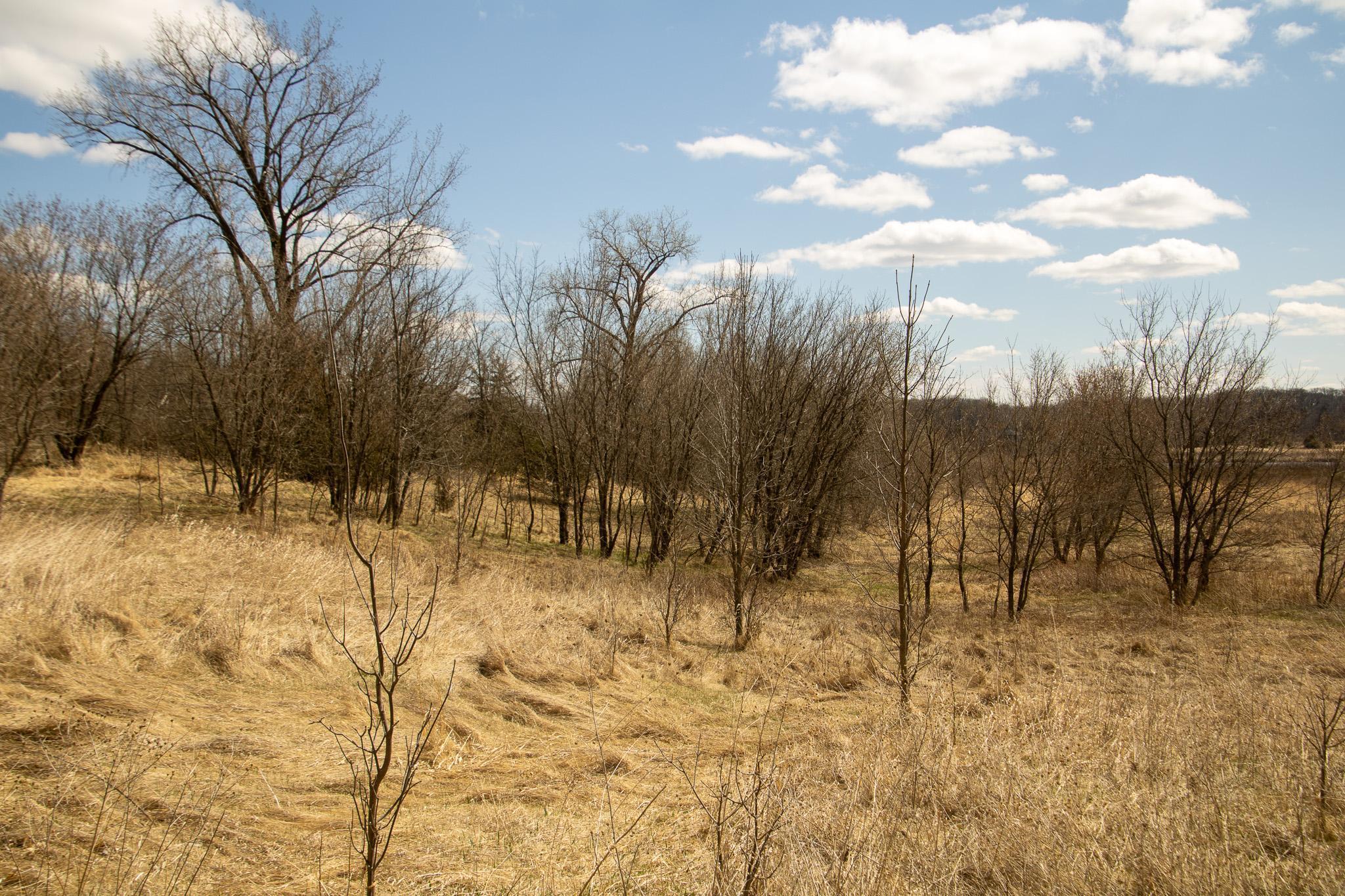 Xxx Scandia Trail N Property Photo 7