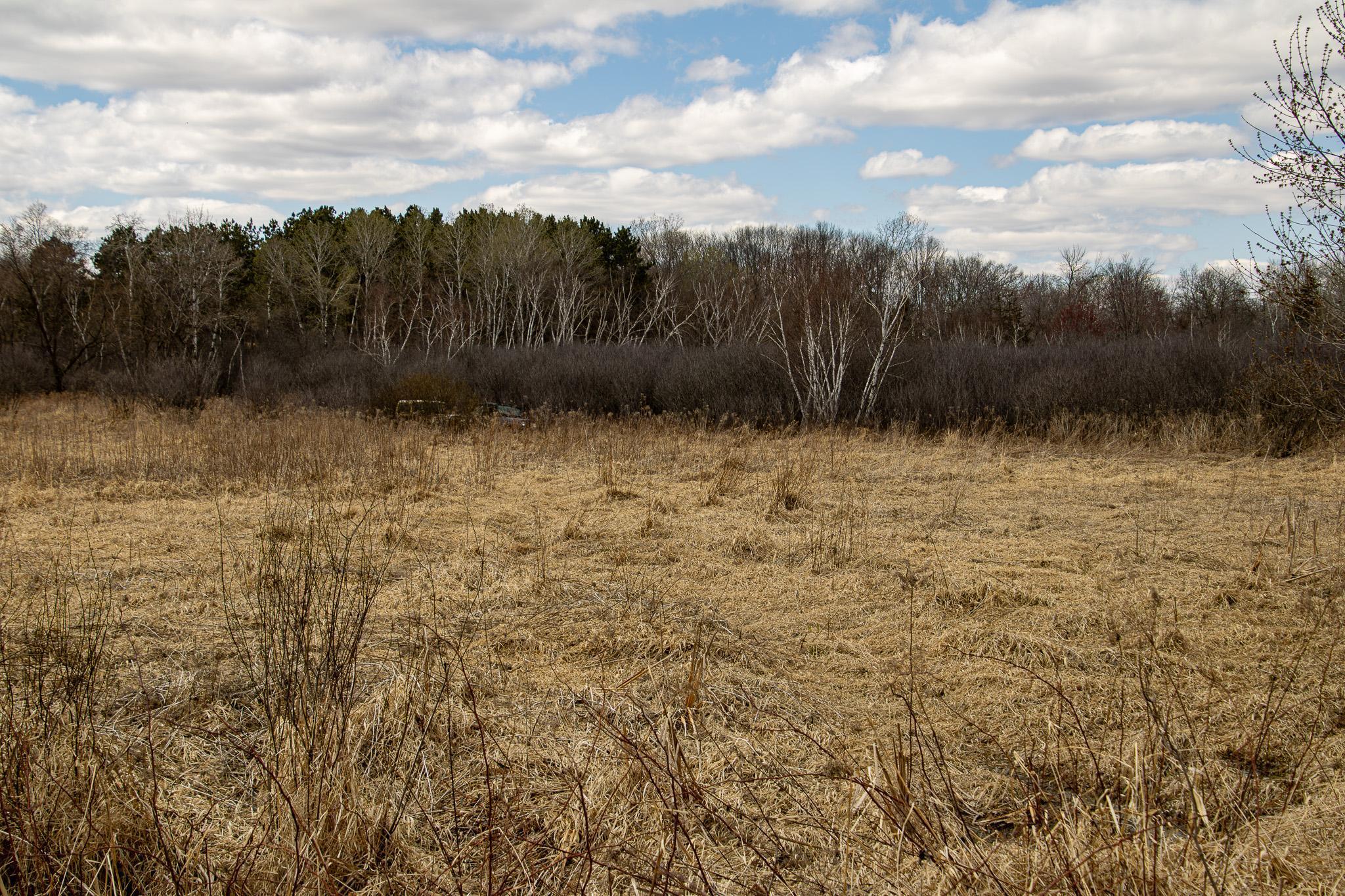 Xxx Scandia Trail N Property Photo 8