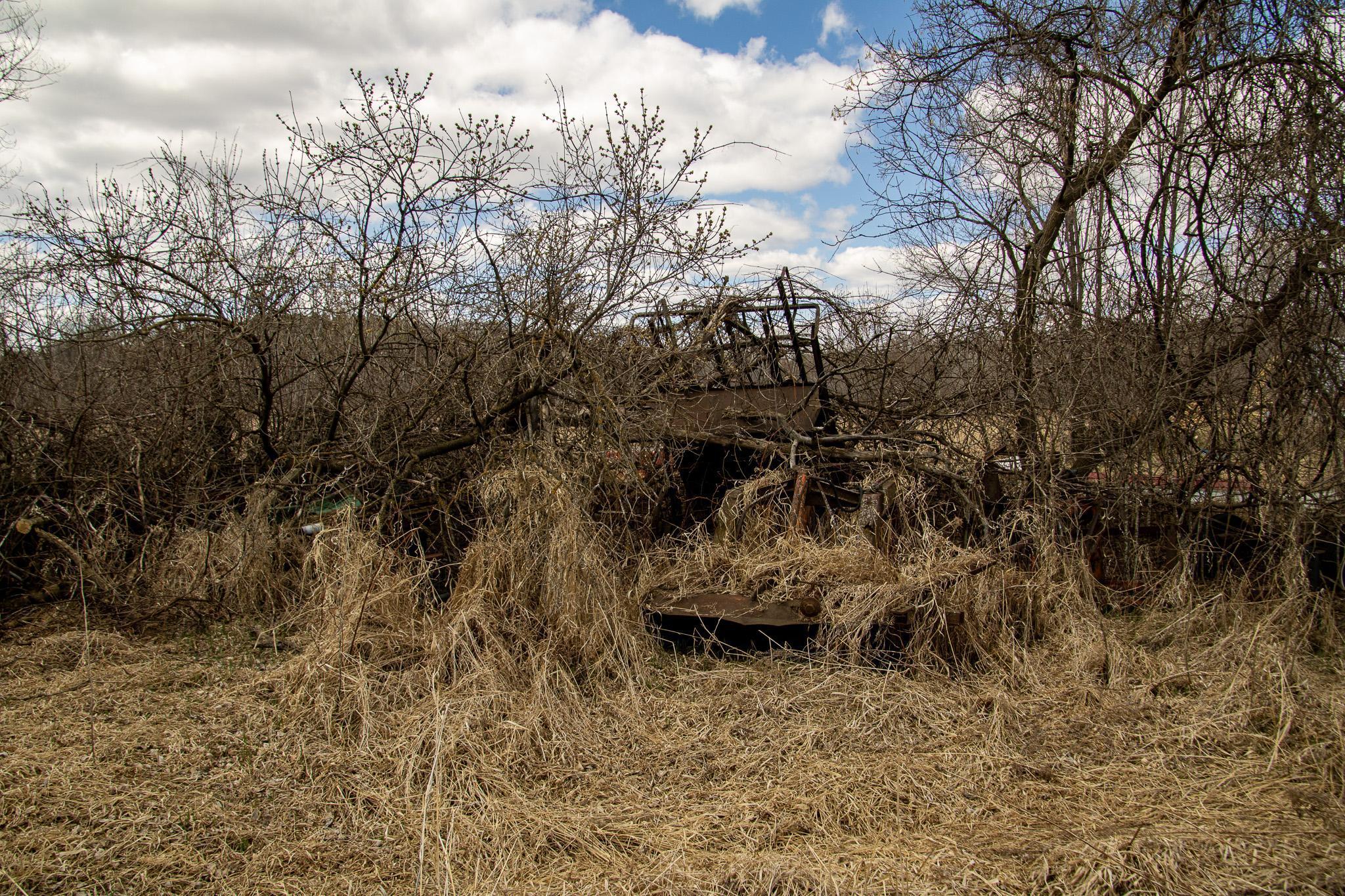 Xxx Scandia Trail N Property Photo 27