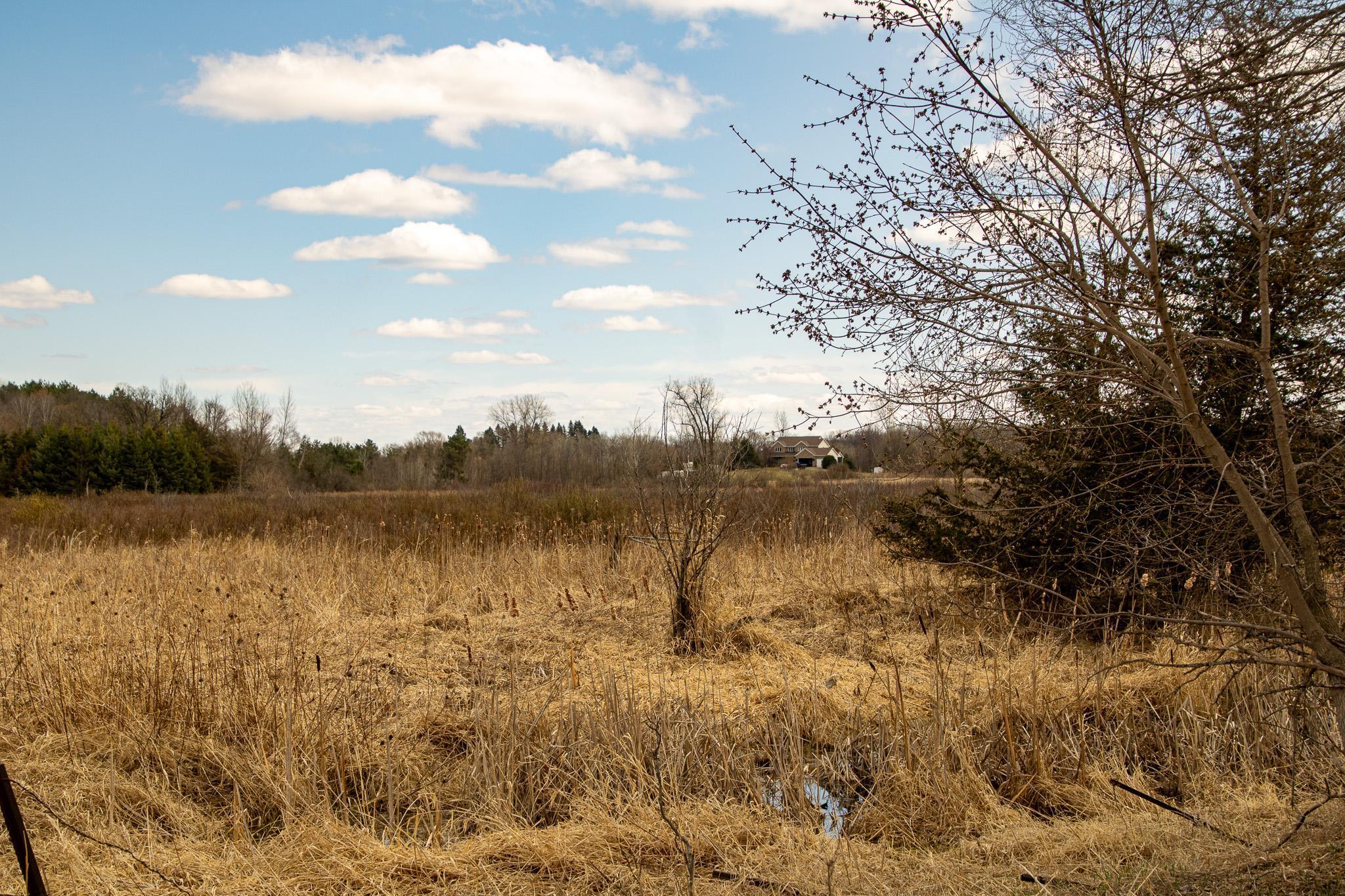 Xxx Scandia Trail N Property Photo 29