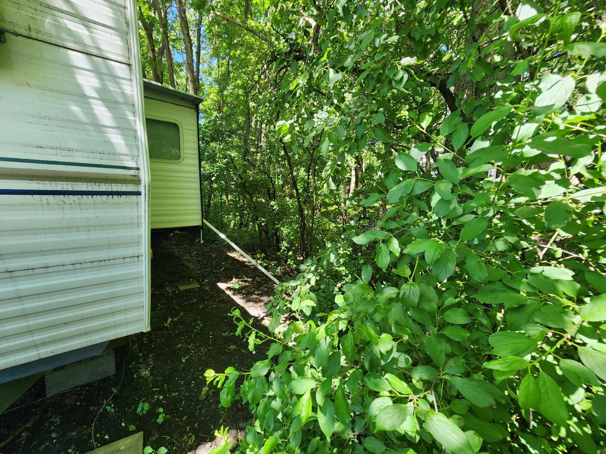 2945 County Road 4 Sw 341 Property Photo 35