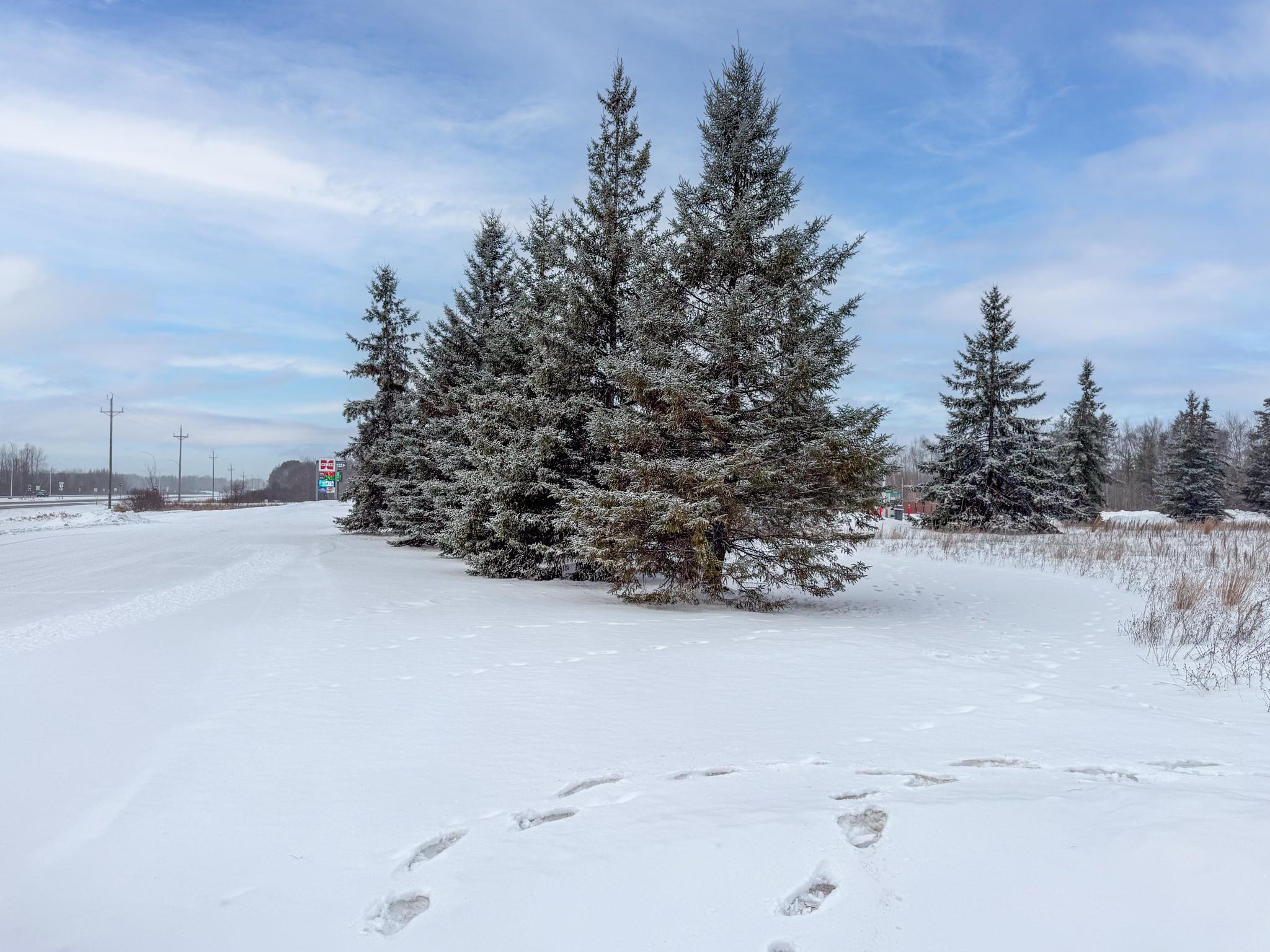 Tbd 32.48 Us 2 Nw Property Photo 13