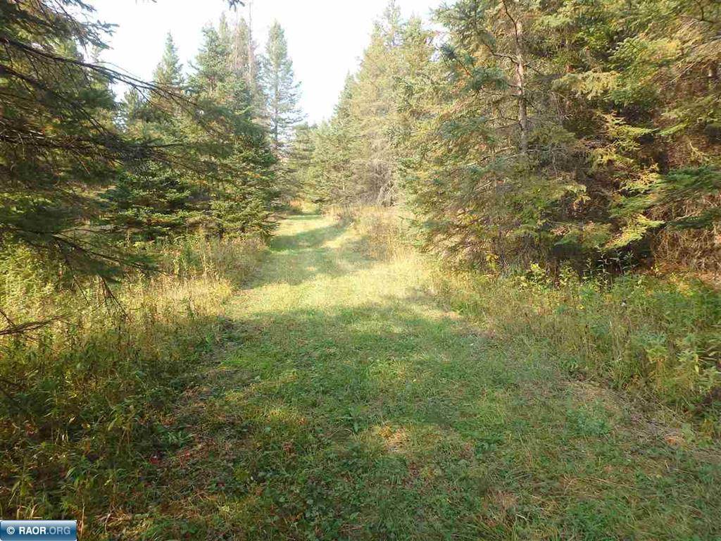 10705 Highway 65 Property Photo 42