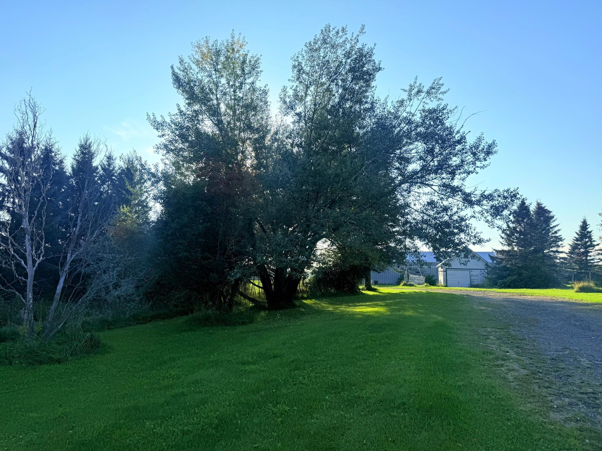 18863 State Highway 65 Property Photo 8